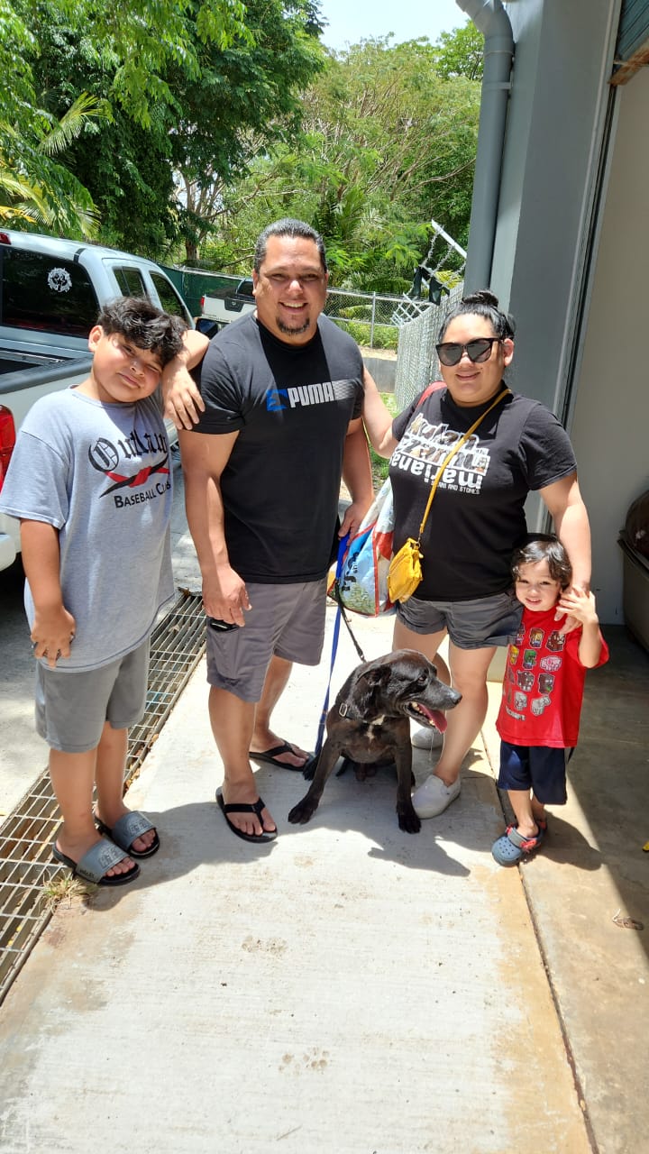 Jenn and Rudy Guerrero and their boys are opening their hearts and home to foster one of the many adoptable dogs from the mayor's shelter in collaboration with Saipan Humane Society. In preparation ahead of Typhoon Mawar, SHS is asking for families to foster these dogs at least until the storm passes. Foster families are provided with dog food, puppy pads and a dog lead. Foster families can also adopt their foster if they choose. Contact saipanhumanesociety.org for more information.