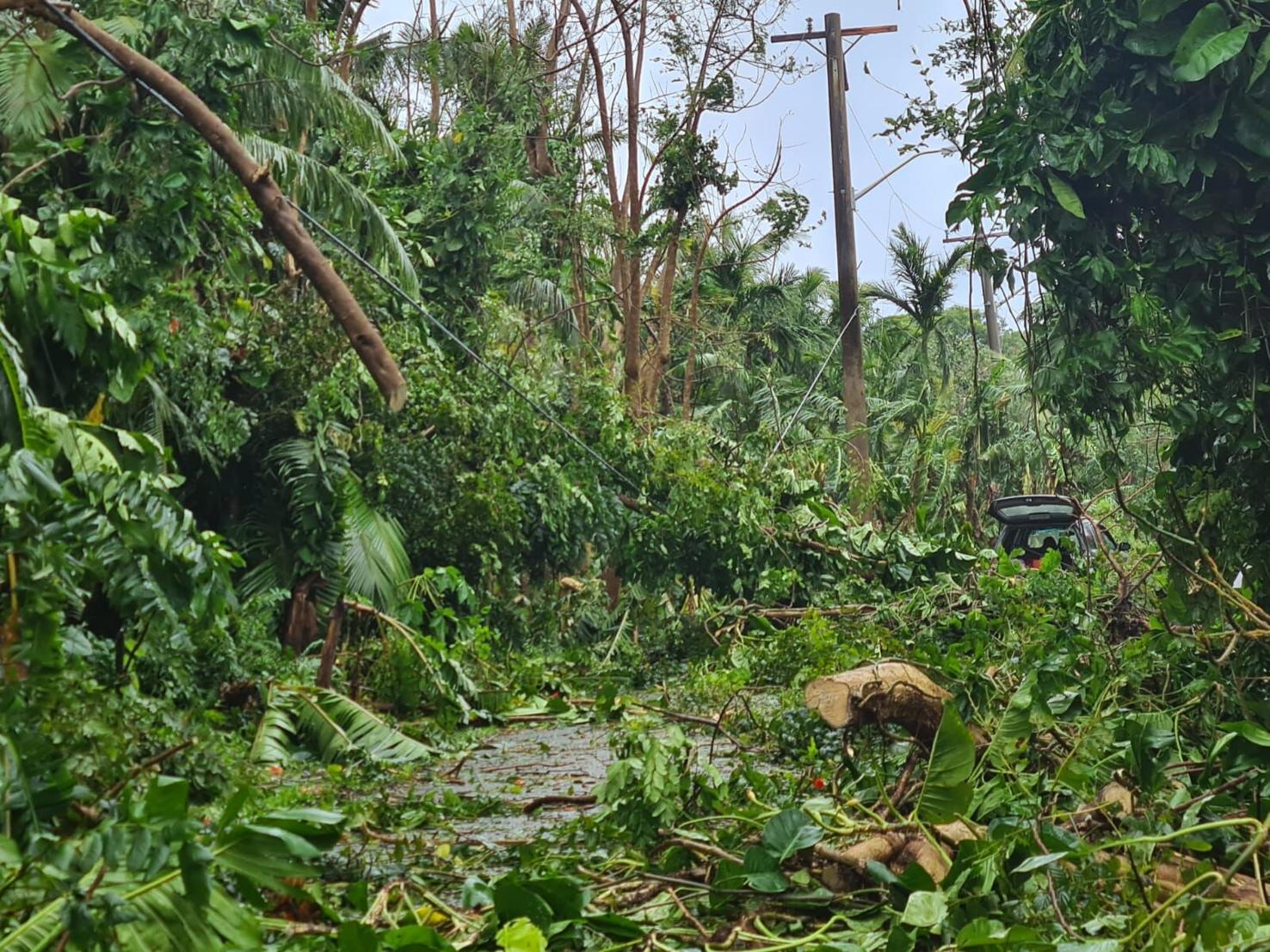 Fallen trees and other debris block an interior village street in Malesso' as a result of Typhoon Mawar.