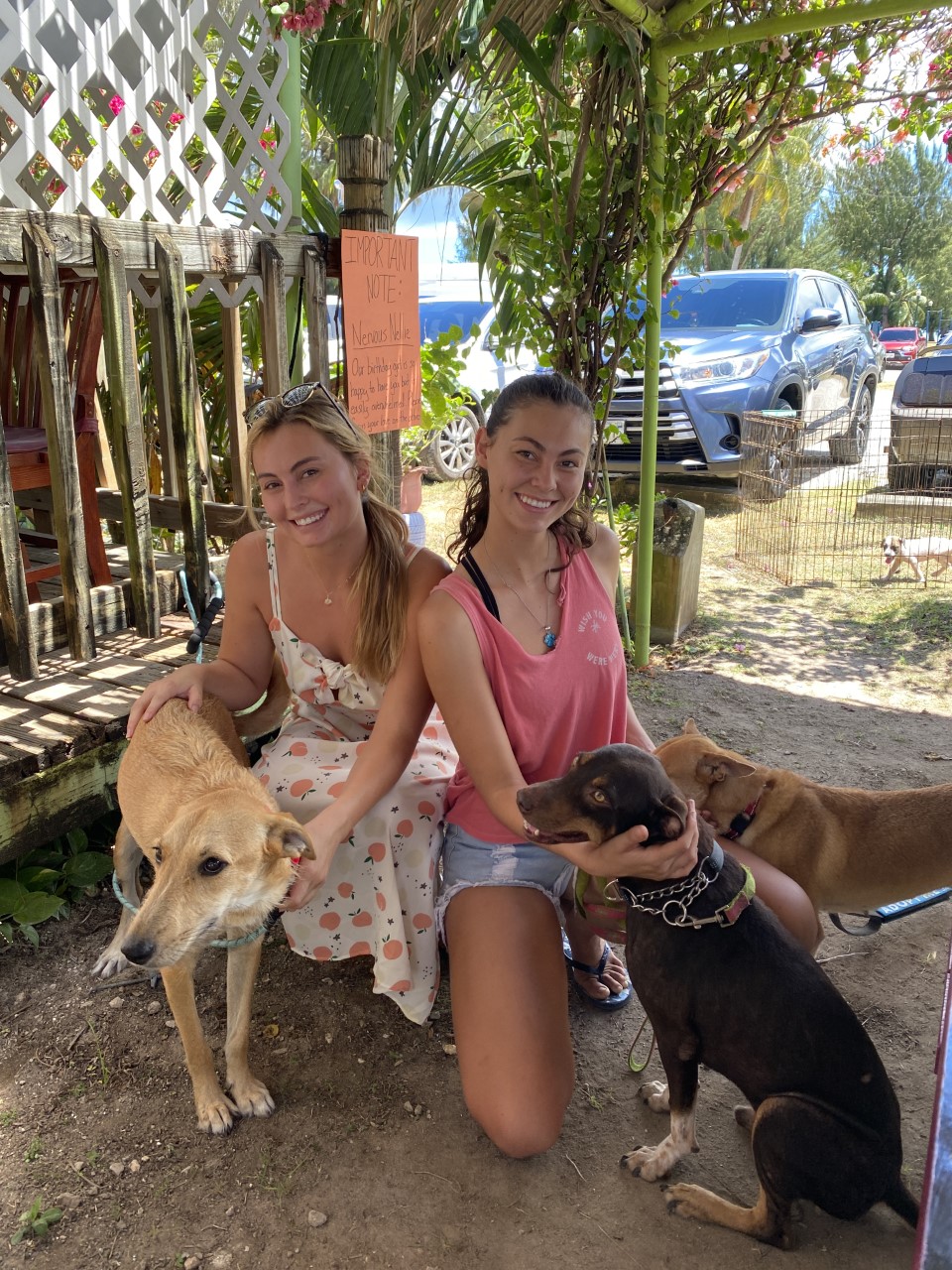 Grace Keilbach, left, and Aria Keilbach, pose with Nellie Peach, far left, and dogs available for adoption at an adoption event Wednesday at The Shack in San Jose.