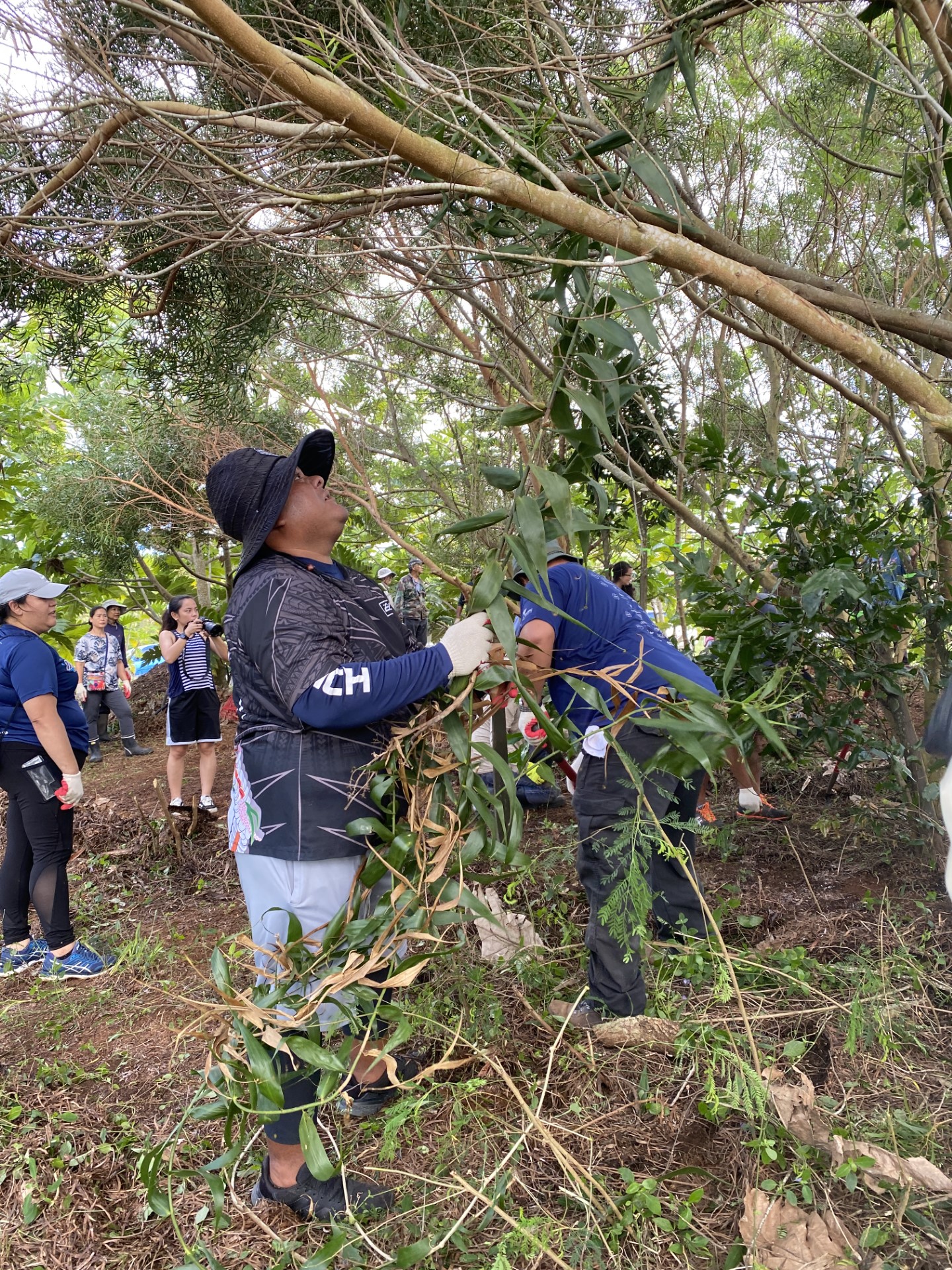 Harley Eriich clears land and vines from the soon to be created garden patch at the Kagman Ma’afala Breadfruit Plantation.