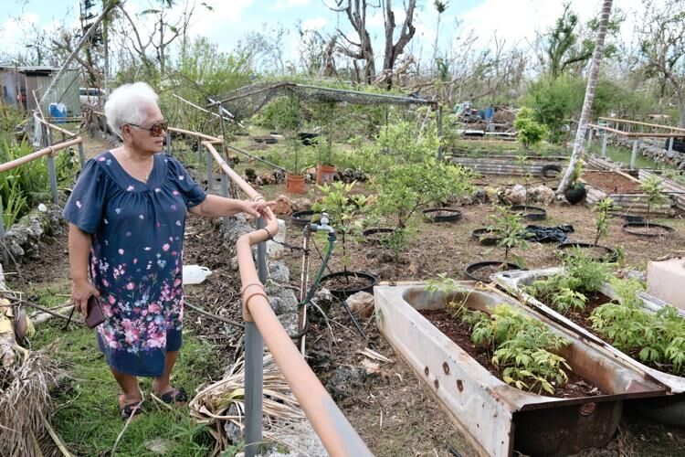 Saina Bernice Nelson, owner of Åmot Farm Inc., shows some damage to her crops caused by Typhoon Mawar at her Dededo farm Tuesday, June 20, 2023. 