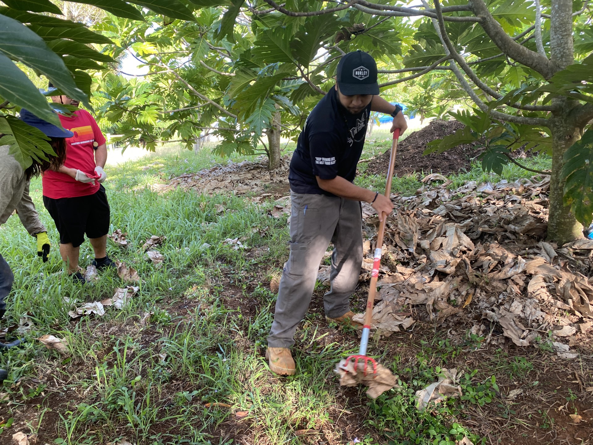 Tom Pangelinan clears land to help create the garden plot at the Kagman Ma’afala Breadfruit Plantation