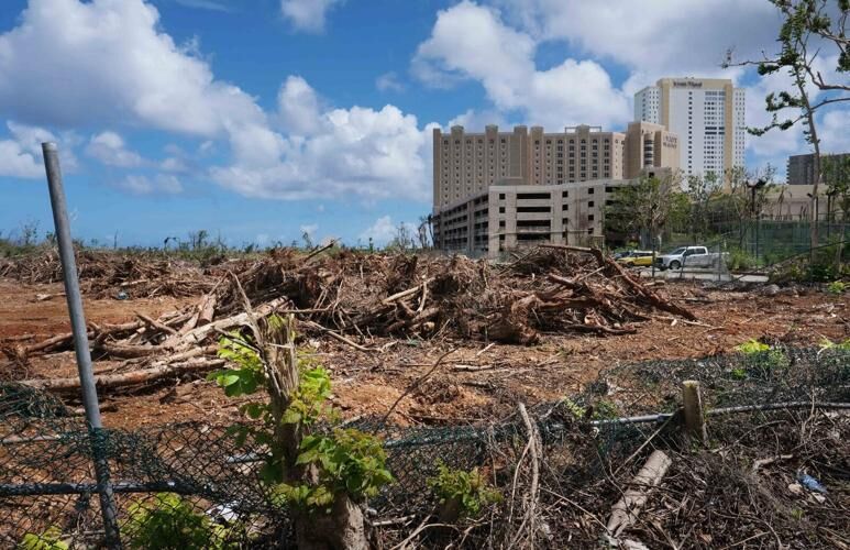 A large lot between the Hyatt Regency Guam and Fujita Road in Tumon is shown with fallen trees Wednesday, June 21, 2023.