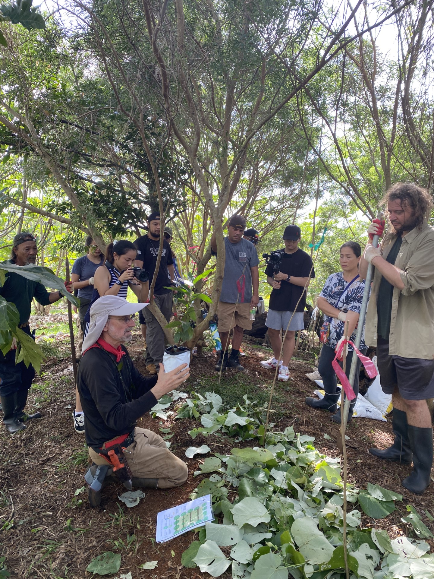 Dr. Craig Elevitch, holds a makupa, or mountain apple, tree in front of the garden bed prepared by participants