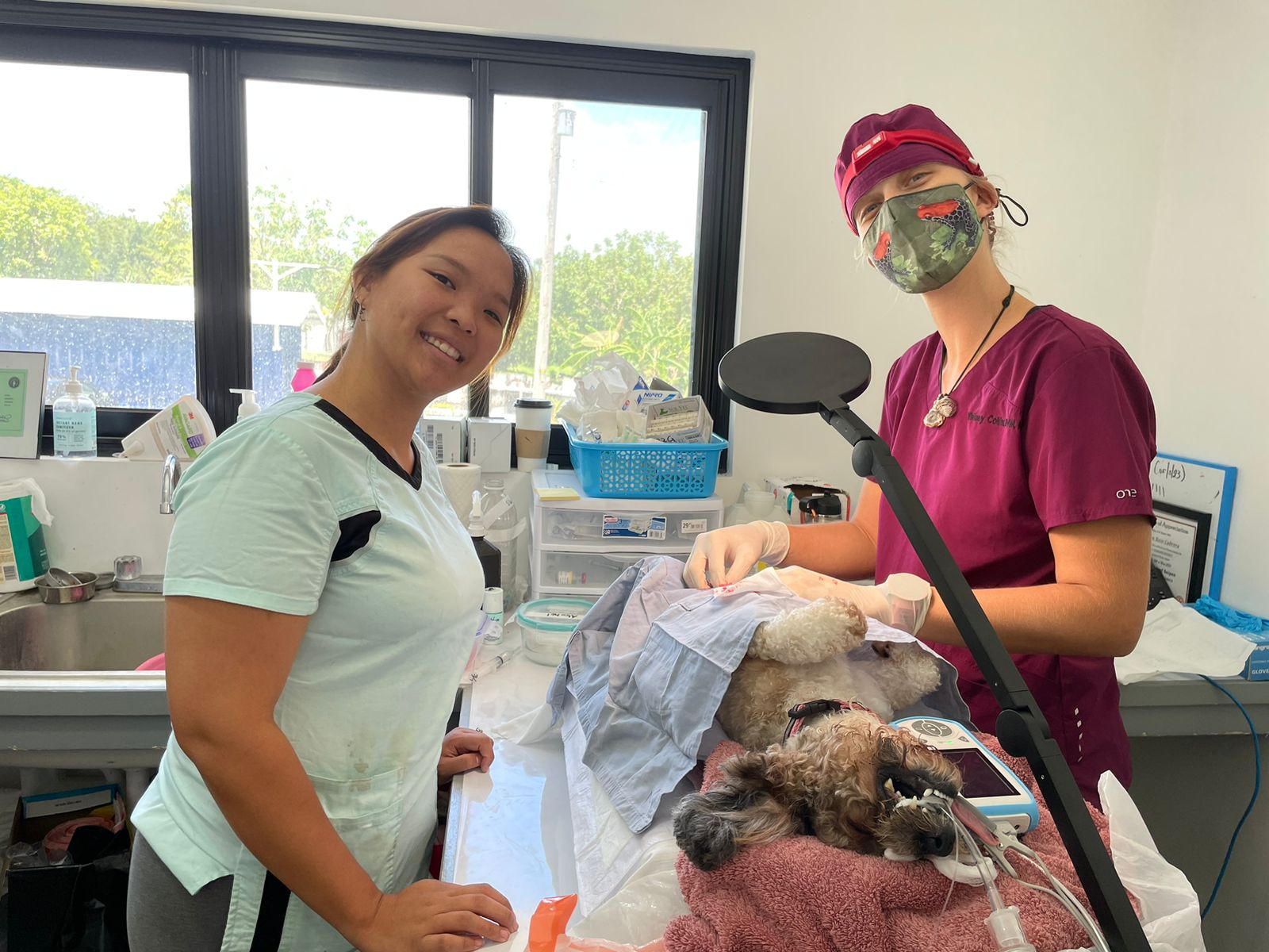 Saipan Humane Society clinic director Ruby Ma and Dr. Whitney Collins.