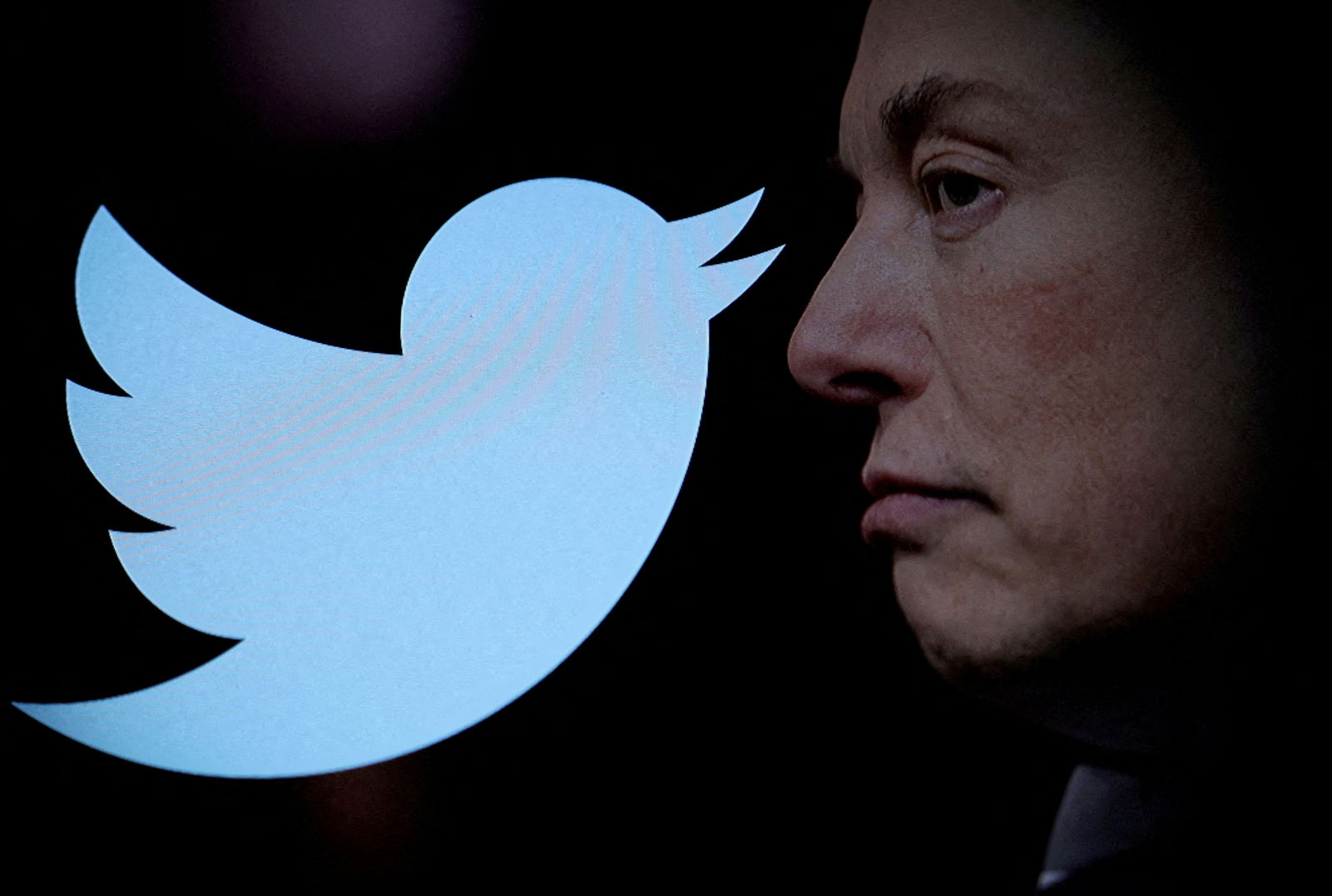 Twitter logo and a photo of Elon Musk are displayed through magnifier in this illustration taken Oct. 27, 2022.