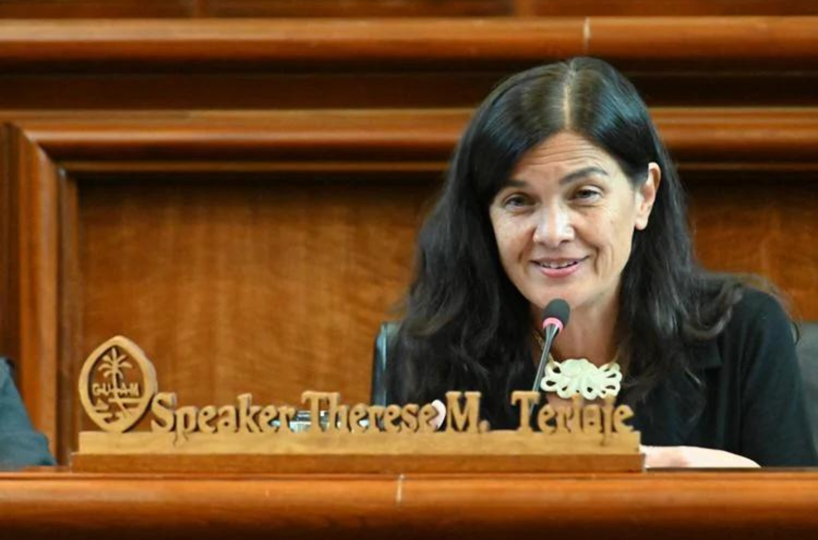 Speaker Therese Terlaje asks questions of the witness during a public hearing for Bill 144-37 held Monday, July 10, 2023, at the Guam Congress Building in Hagåtña. 