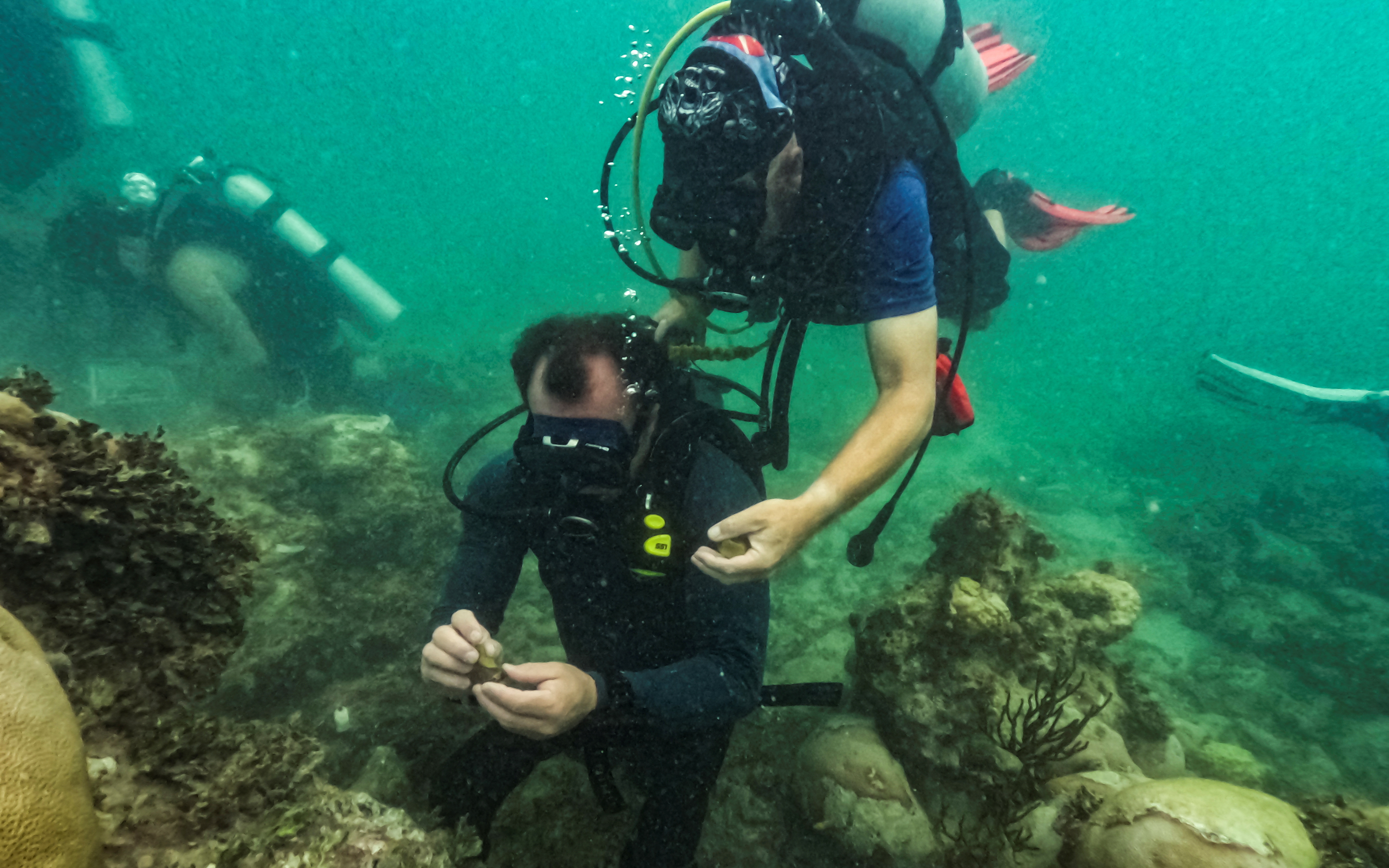 Citizen scientist from Mote Laboratories replants corals on Florida's Keys vulnerable reefs, in Key West, Florida, U.S., July 13, 2023. REUTERS/Maria Alejandra Cardona