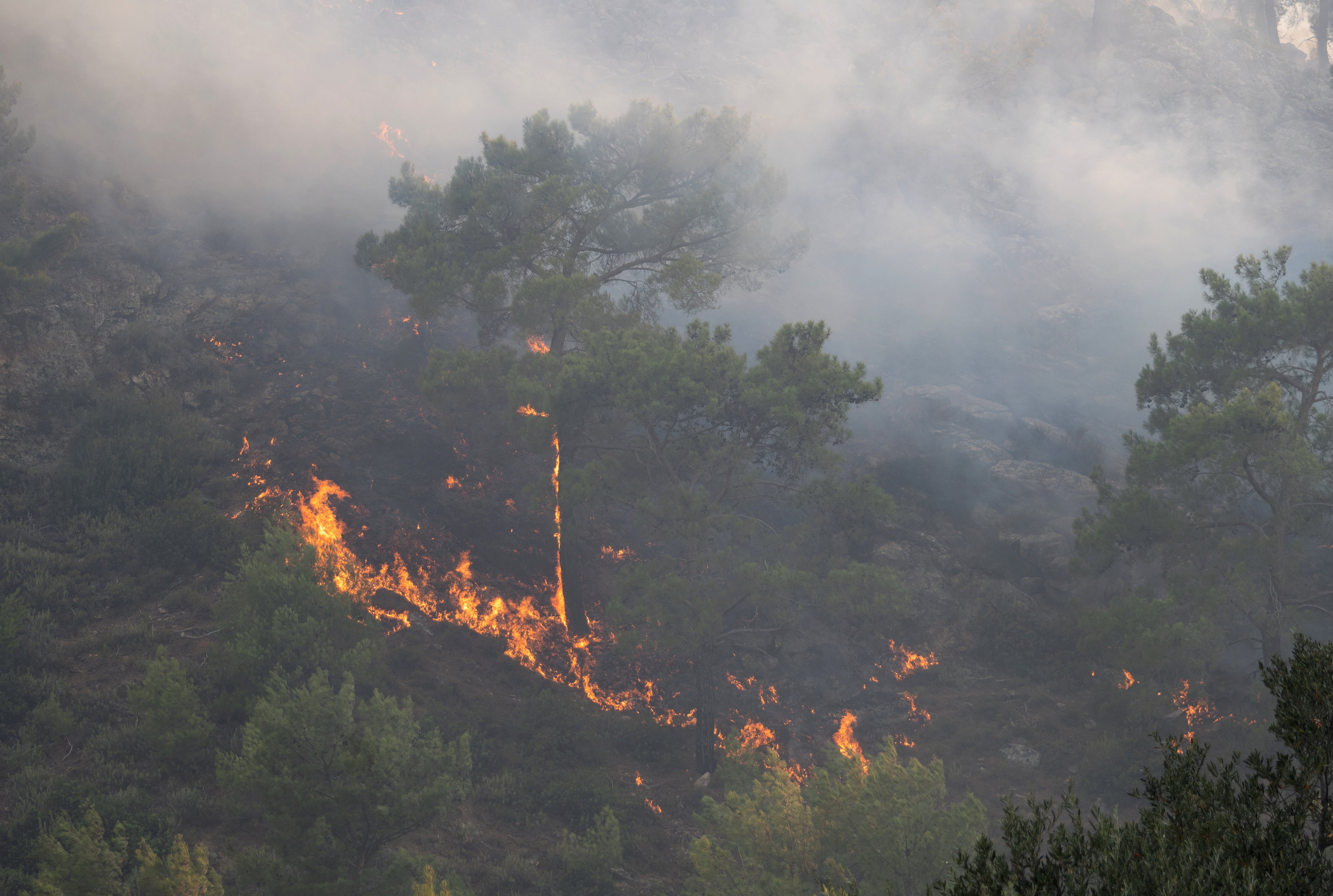 A wildfire burns in a forest near Lardos, on the island of Rhodes, Greece, July 22, 2023. REUTERS/Vassilis Ikoutas