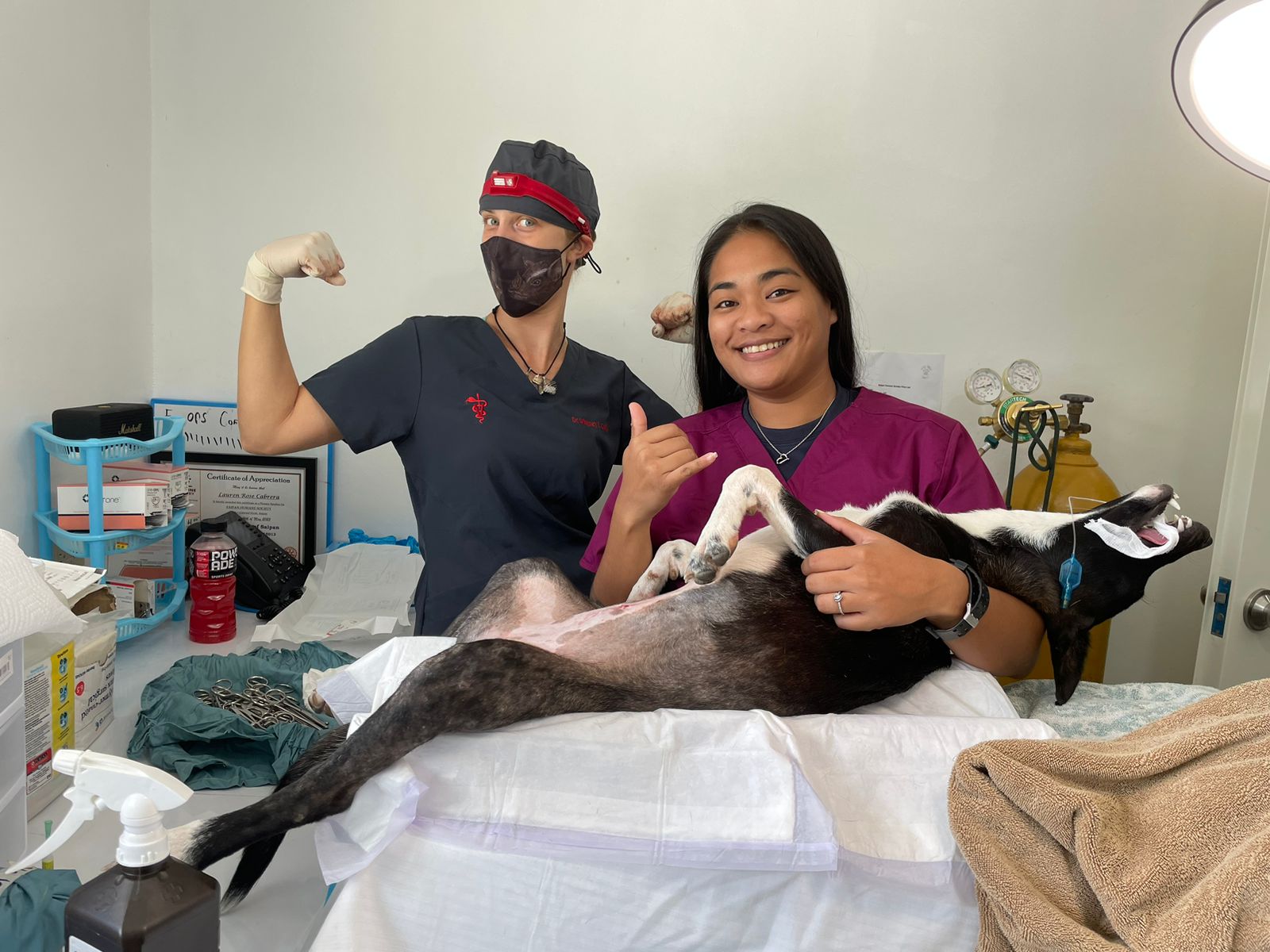 Dr. Whitney Collins and Dog Control Program staff member Stephanie Jo Camacho.