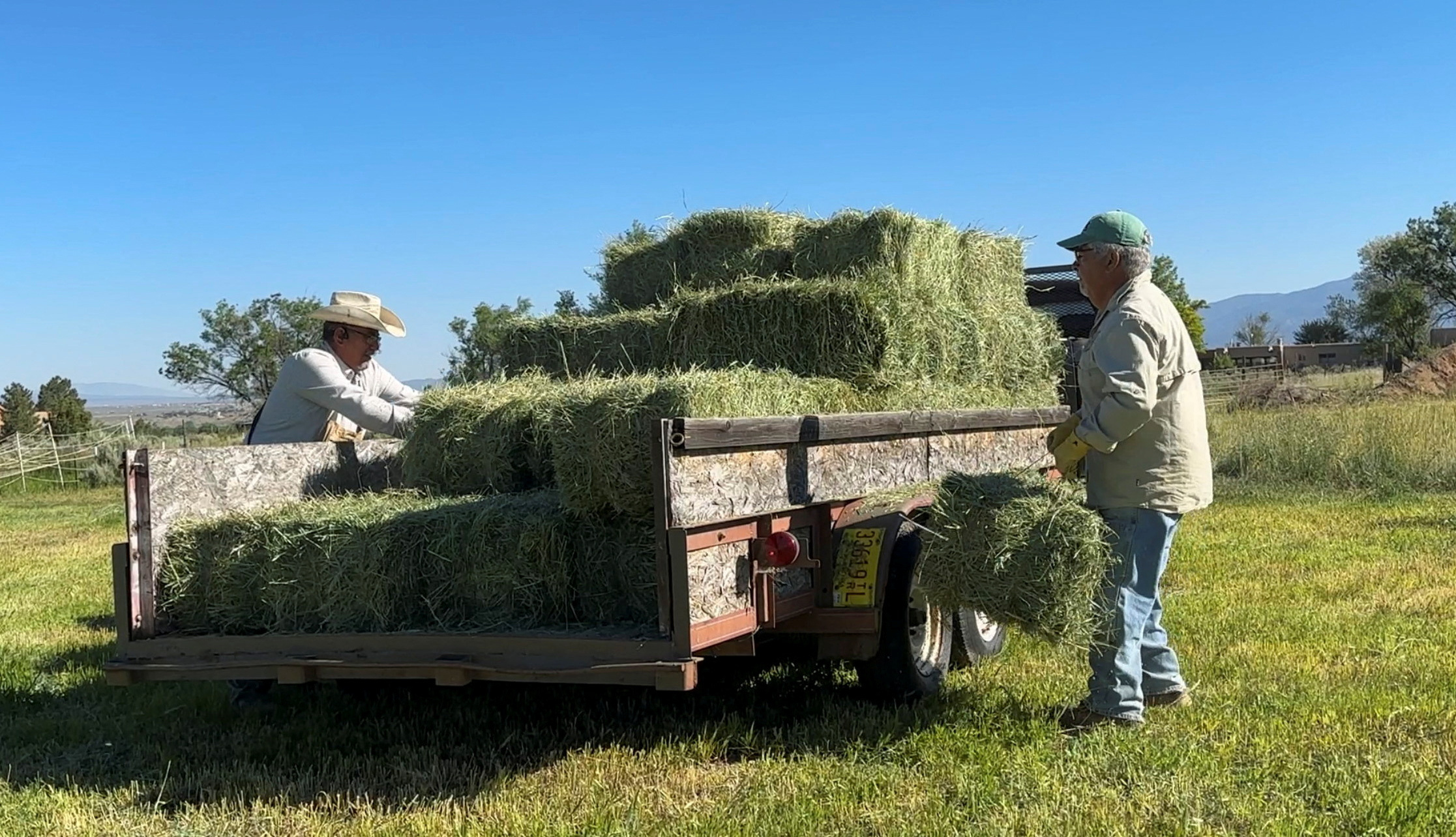 Carlos Arguello, a farmer, loads bales in his field irrigated with the water from foothills in Taos, New Mexico, U.S., June 25, 2023 in this screengrab from a video. REUTERS/Andrew Hay