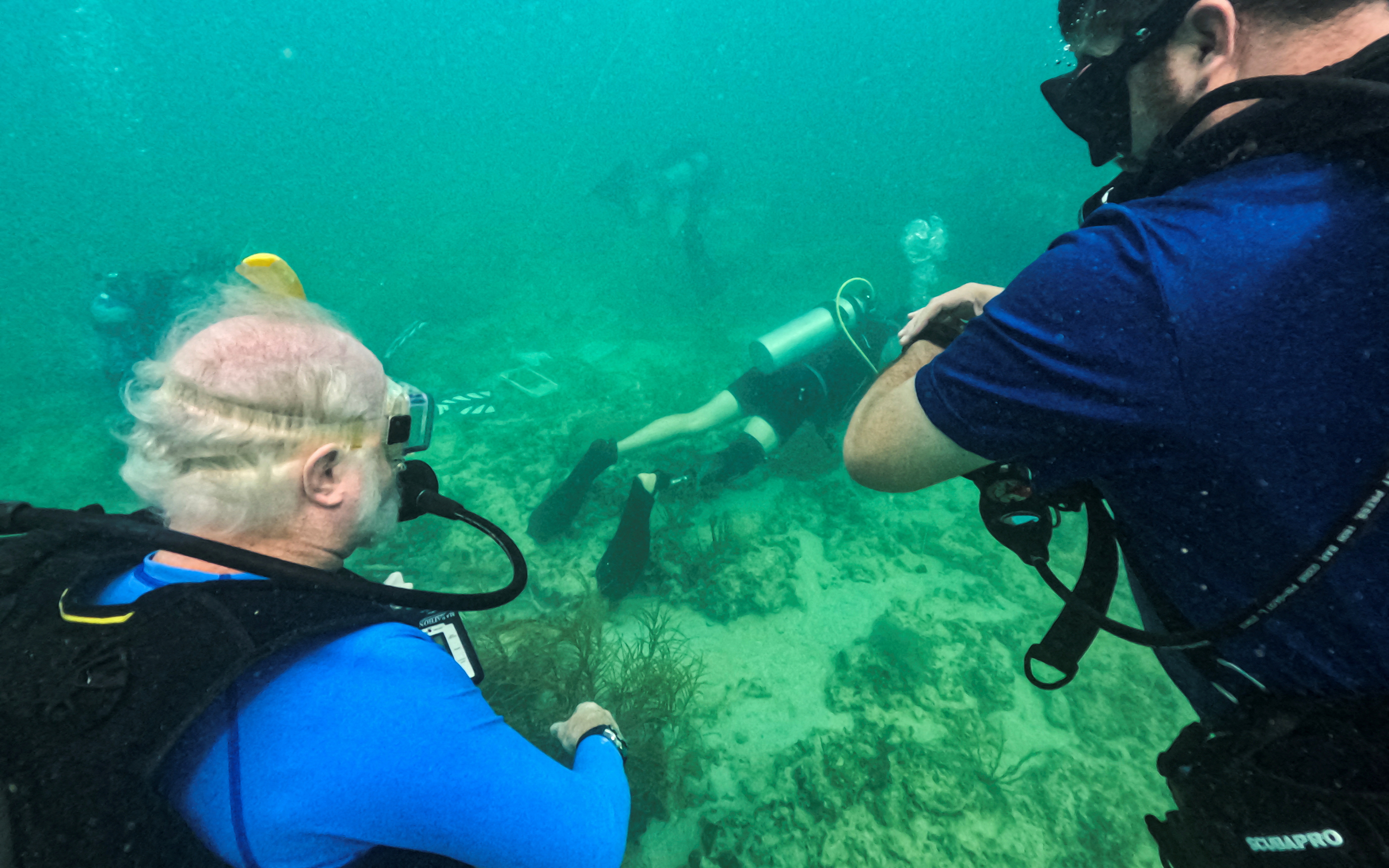 Mote Laboratory CEO Michael Crosby watches over citizen scientist planting corals on Key West's vulnerable reefs in Key West, Florida, U.S., July 13, 2023. REUTERS/Maria Alejandra Cardona/File Photo