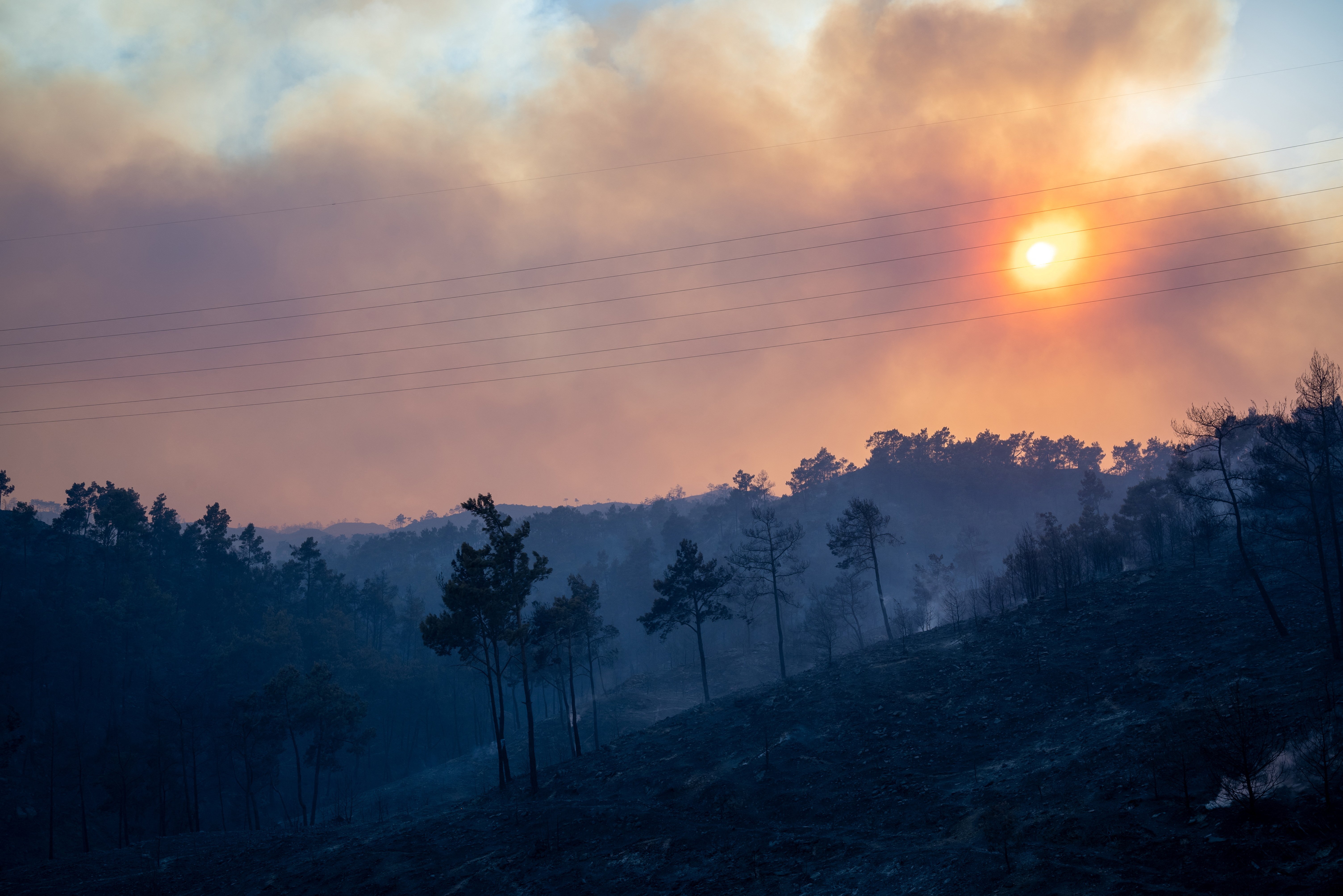 A wildfire burns in a forest near Lardos, on the island of Rhodes, Greece, July 22, 2023. REUTERS/Vassilis Ikoutas