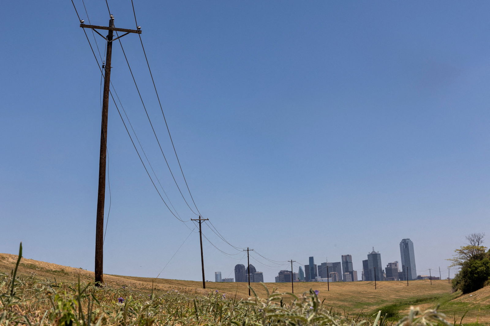 Utility poles lead to downtown Dallas during a heat advisory due to scorching weather in Dallas, Texas, U.S. July 12, 2022. REUTERS/Shelby Tauber/File Photo