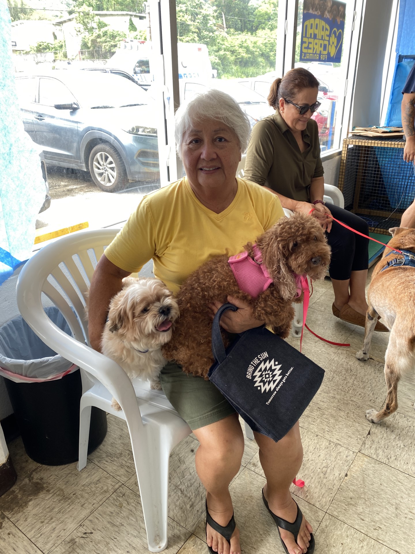 Former Rep. Bennet Seman brought her shitzu and poodle to the former Saipan Cares for Animals clinic for a routine medical examination.