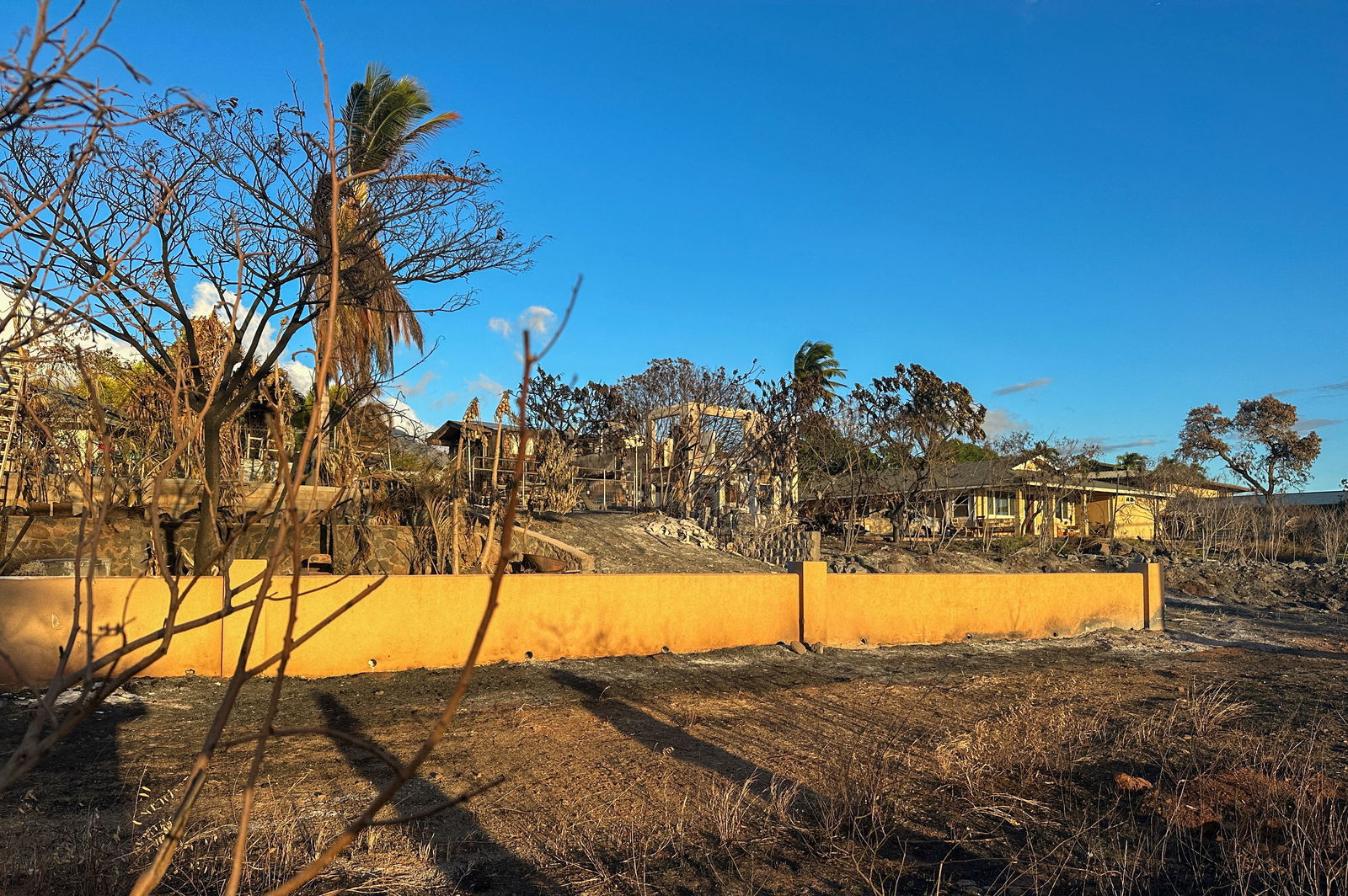 Homes damaged by fire are seen in Lahaina on the island of Maui in Hawaii, U.S., August 14, 2023. REUTERS/Jorge Garcia/File Photo