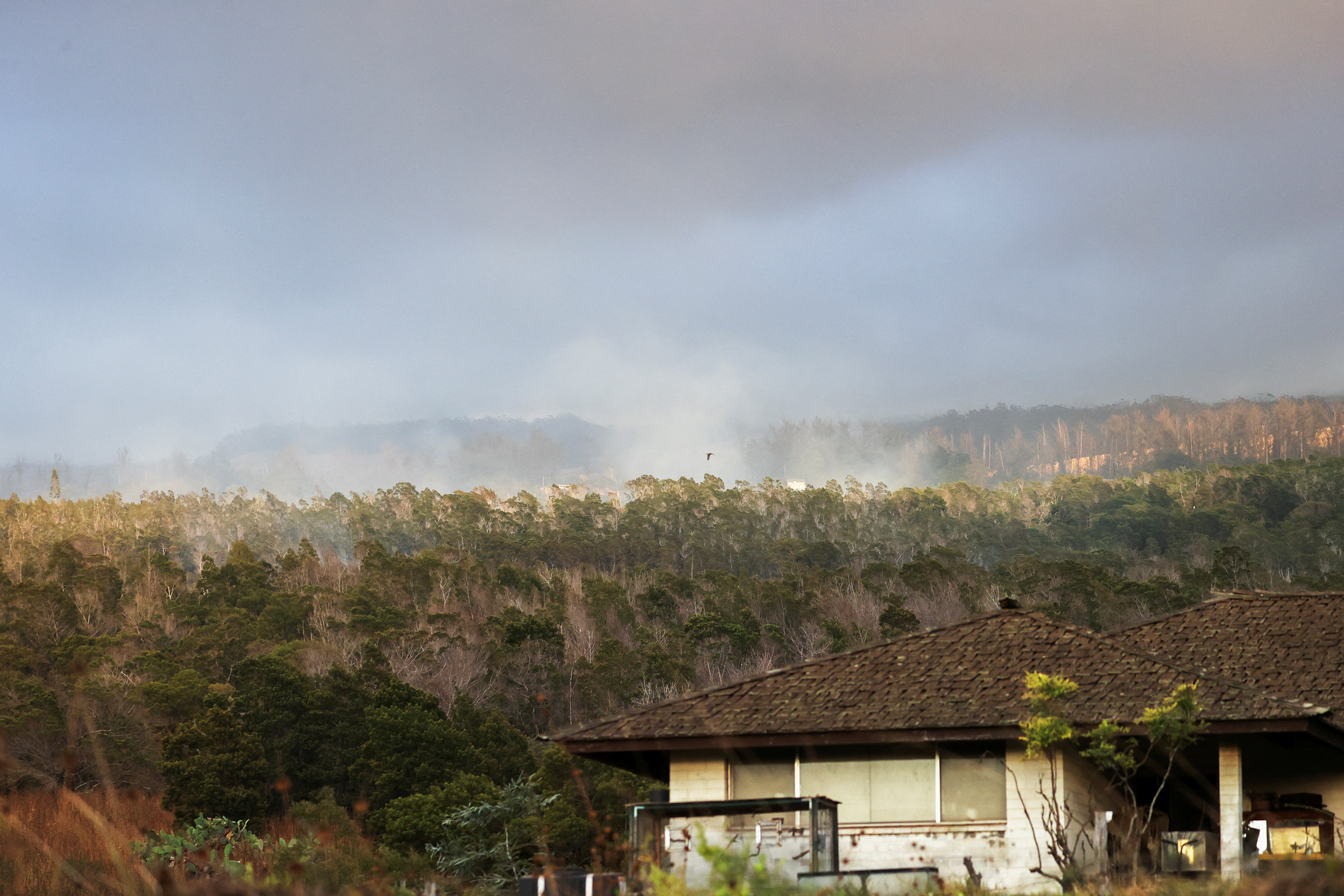 Smoke rises from a wildfire near Pukalani, Hawaii, U.S. August 9, 2023. REUTERS/Marco Garcia