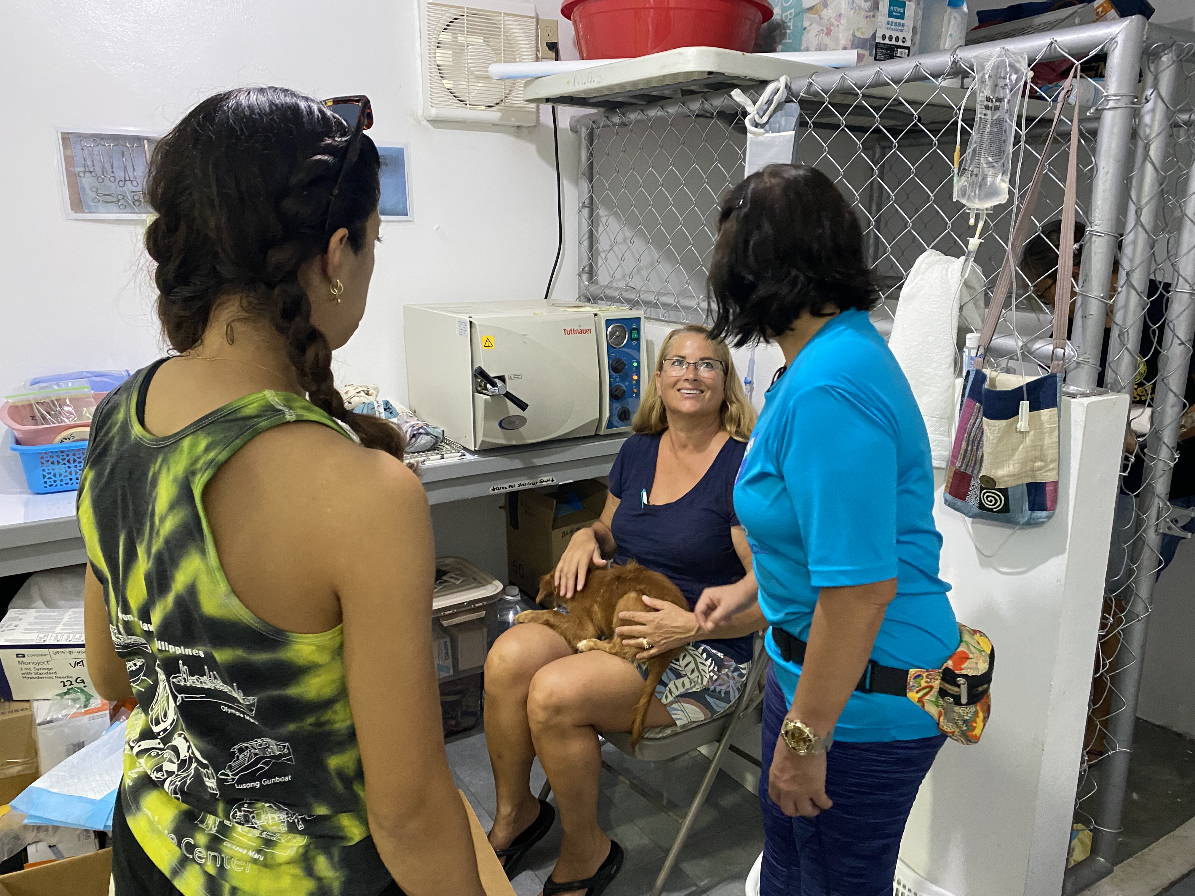 Volunteers nurse Bambi, a dog that underwent surgery at the Mayor of Saipan's Animal Shelter. 