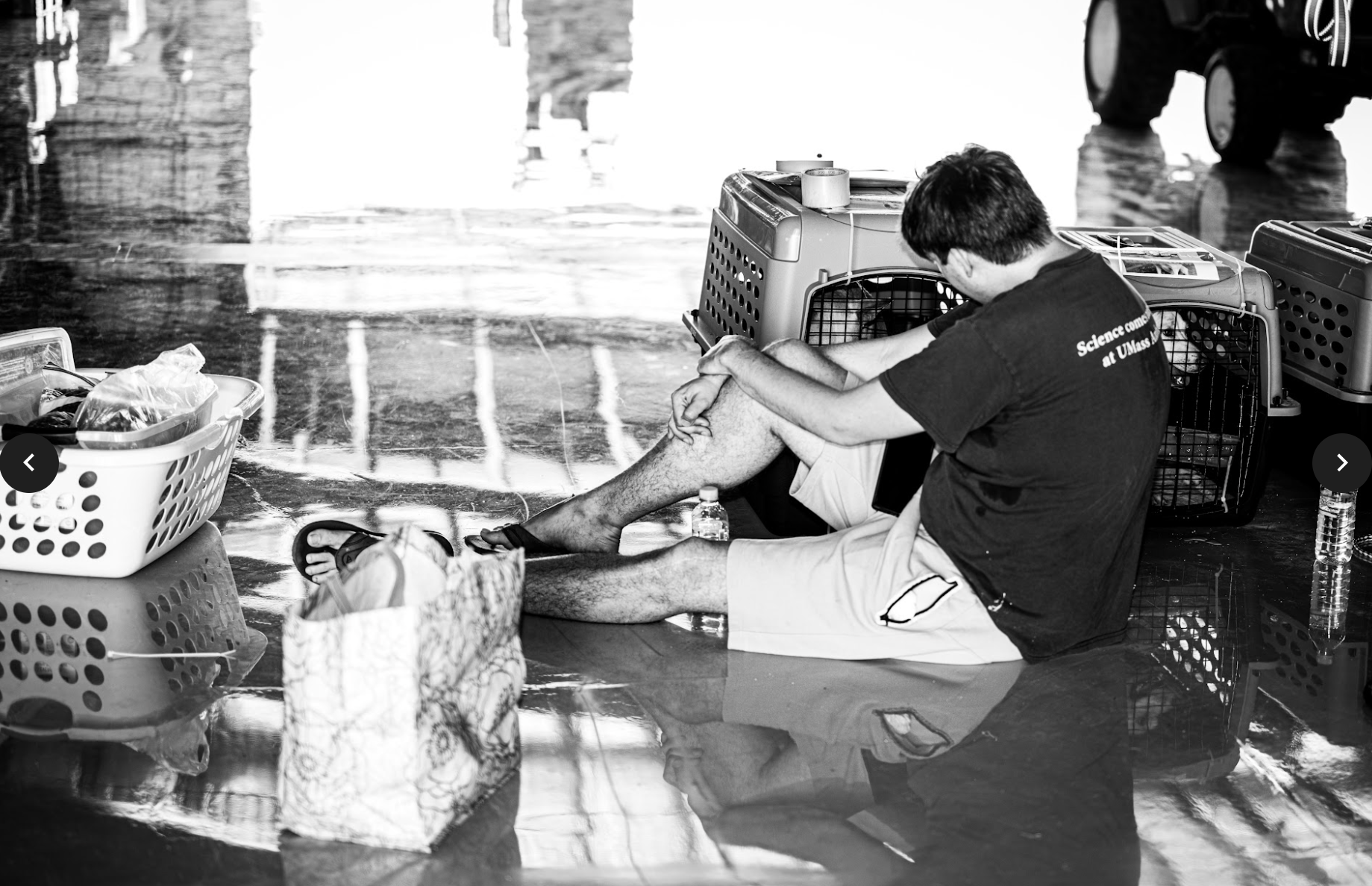 A Saipan Humane Society volunteer bids goodbye to the animals prior to the flight.
