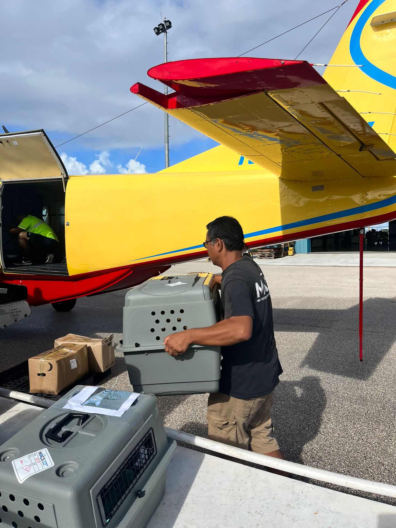 Eight dogs and one cat have been transported off island.