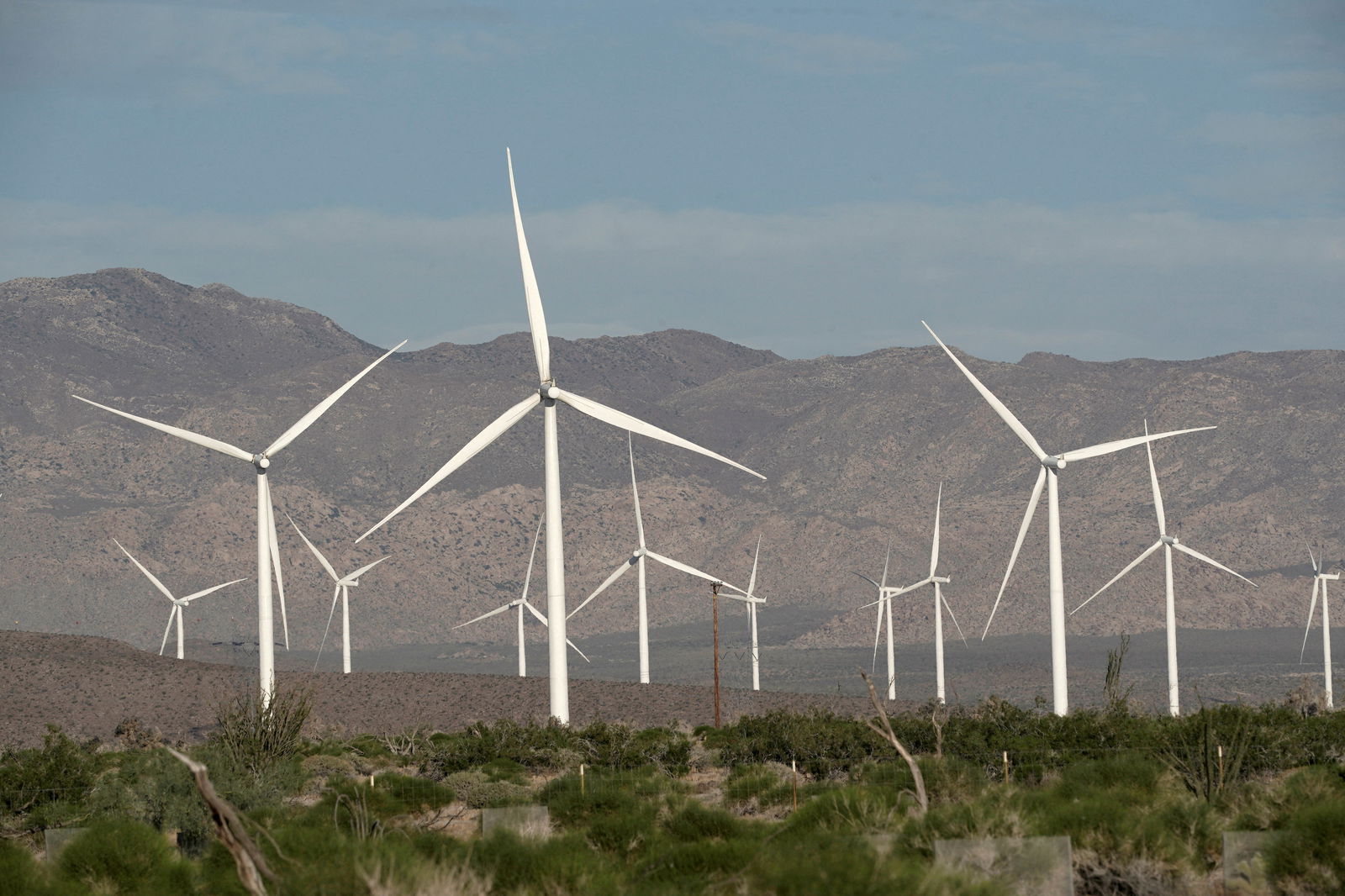 Power-generating Siemens 2.37 megawatt (MW) wind turbines are seen at the Ocotillo Wind Energy Facility California, U.S., May 29, 2020. REUTERS/Bing Guan/File Photo