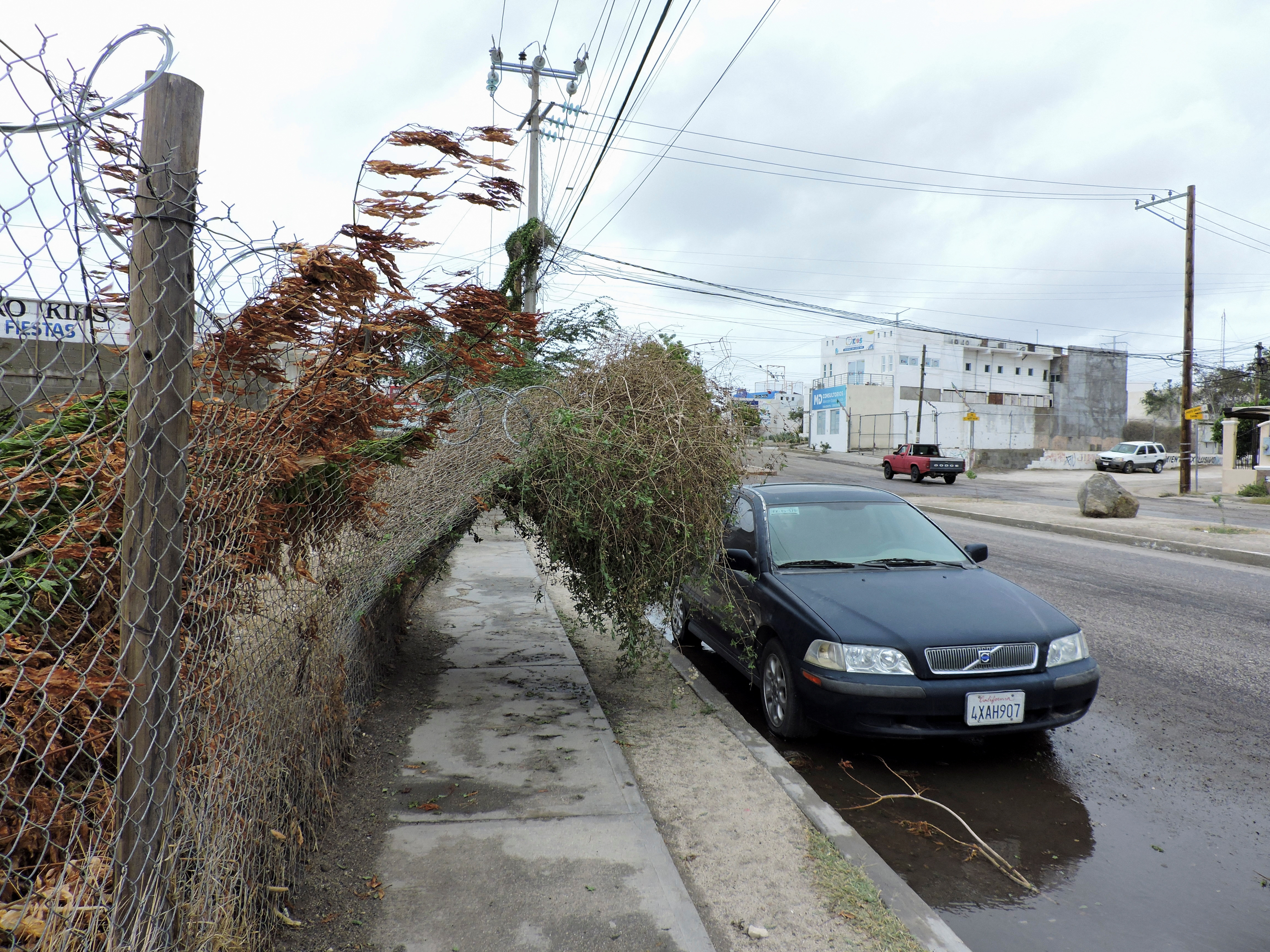 A view of a leaning fence, as Hurricane Hilary hits Mexico's Baja California peninsula, in Cabo San Lucas, Mexico August 19, 2023. REUTERS/Monserrat Zavala