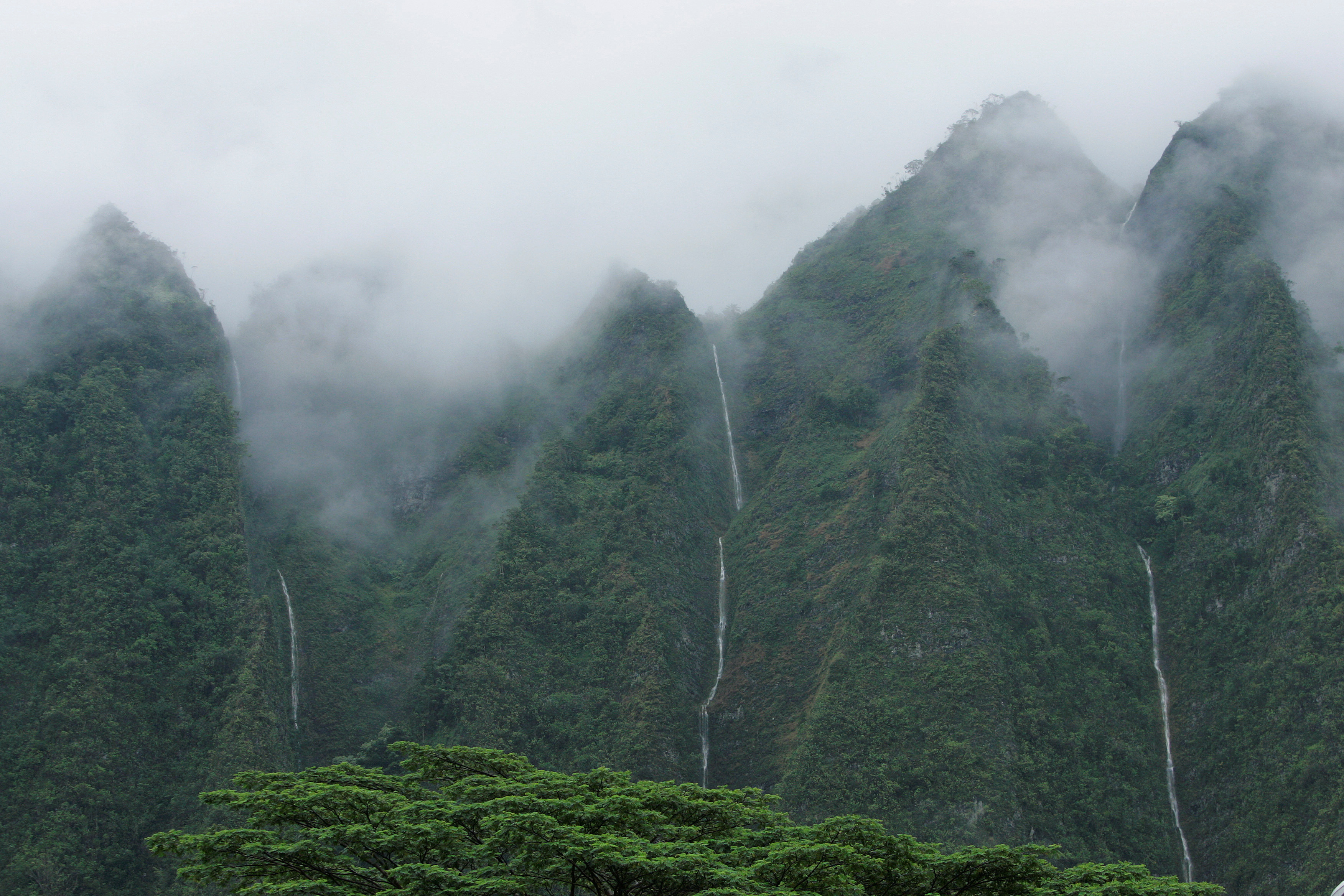 Waterfalls, formed by afternoon rains stream down the Koolau mountains in Kailua, Hawaii December 24, 2010. REUTERS/Hugh Gentry/File Photo