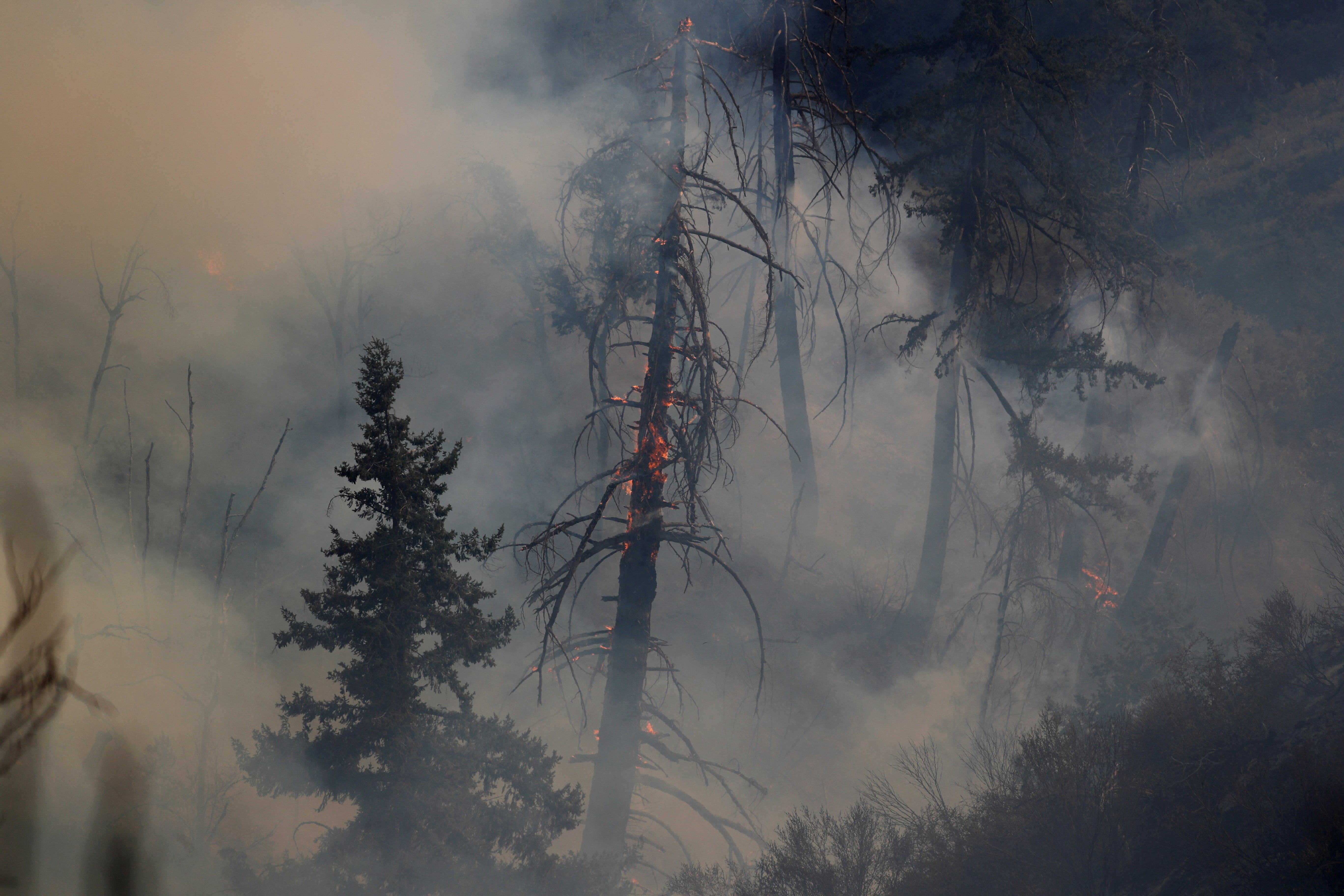 Smoke rises from the Bobcat Fire burning near Mount Wilson in the Angeles National Forest, near Los Angeles, U.S., September 23, 2020. REUTERS/Mario Anzuoni/File Photo