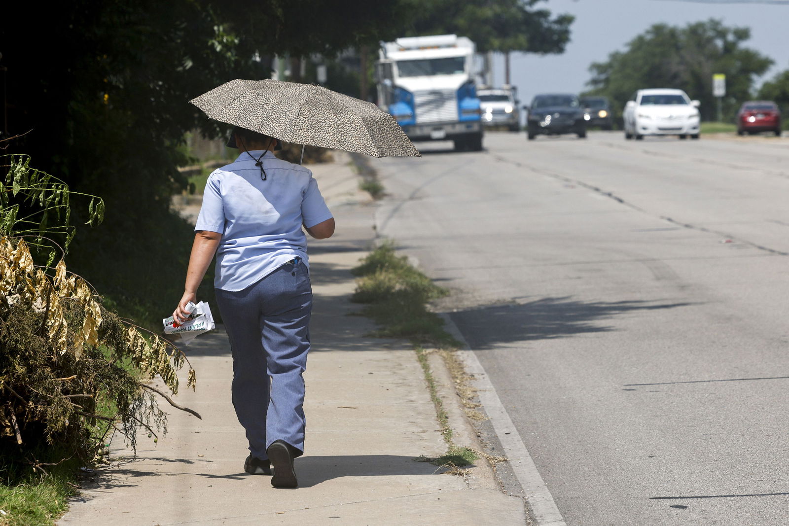 A U.S. Postal Service mail carrier tries to stay cool under the shade of an umbrella as she walks her route along East Grand Avenue in Dallas on June 20, 2023. (Elias Valverde II/The Dallas Morning News/TNS)
