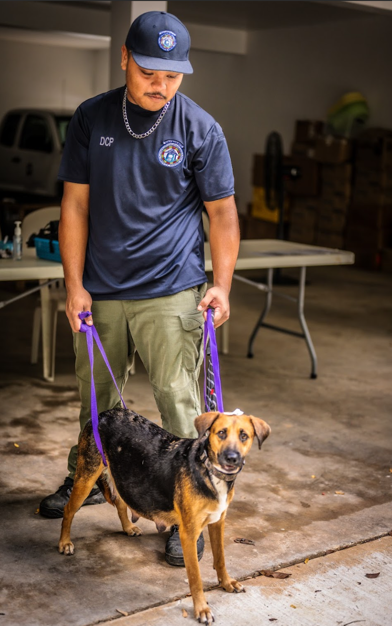 Toshi Togawa, a Dog Control Staff, during the first day of SHS Spay/Neuter Program last August. 