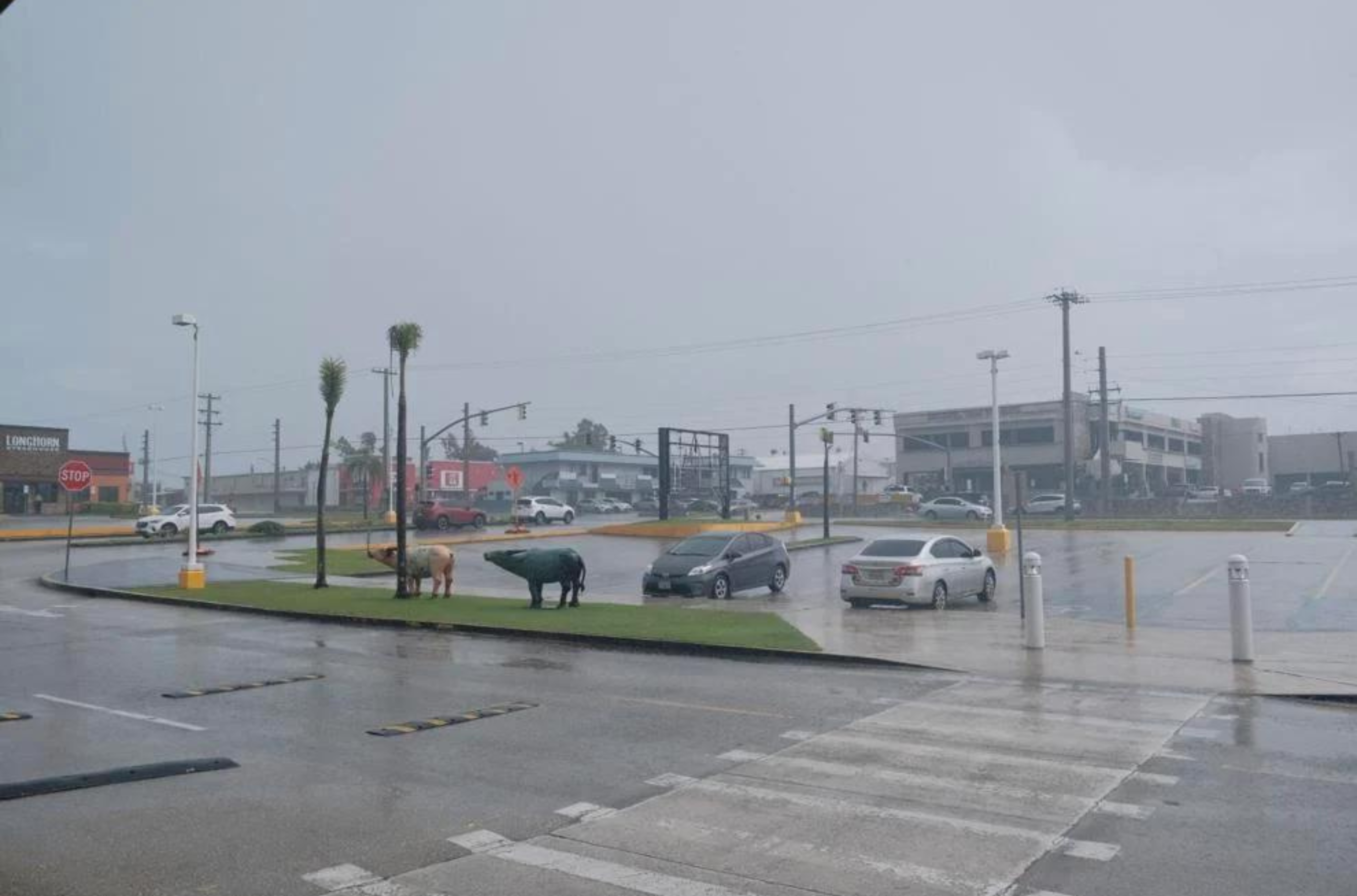 A rain shower hits Tamuning on Saturday, Sept. 9, 2023.