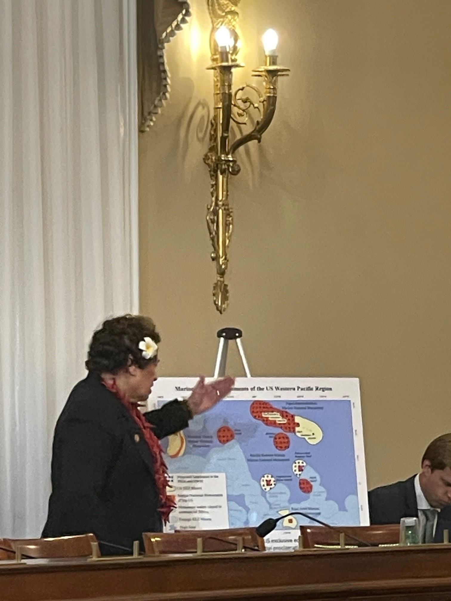 U.S. Congresswoman Uifa’atali Amata of American Samoa emphasizes fishing points in a recent House hearing.