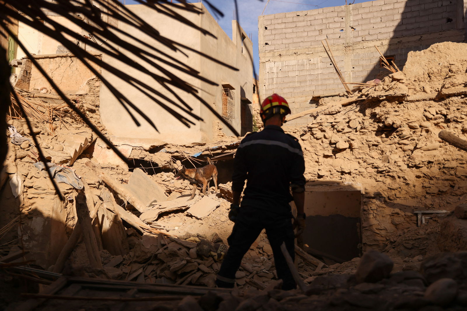 An emergency worker and a dog search bodies on the rubbles, in the aftermath of a deadly earthquake, in Amizmiz, Morocco, September 10, 2023. REUTERS/Nacho Doce
