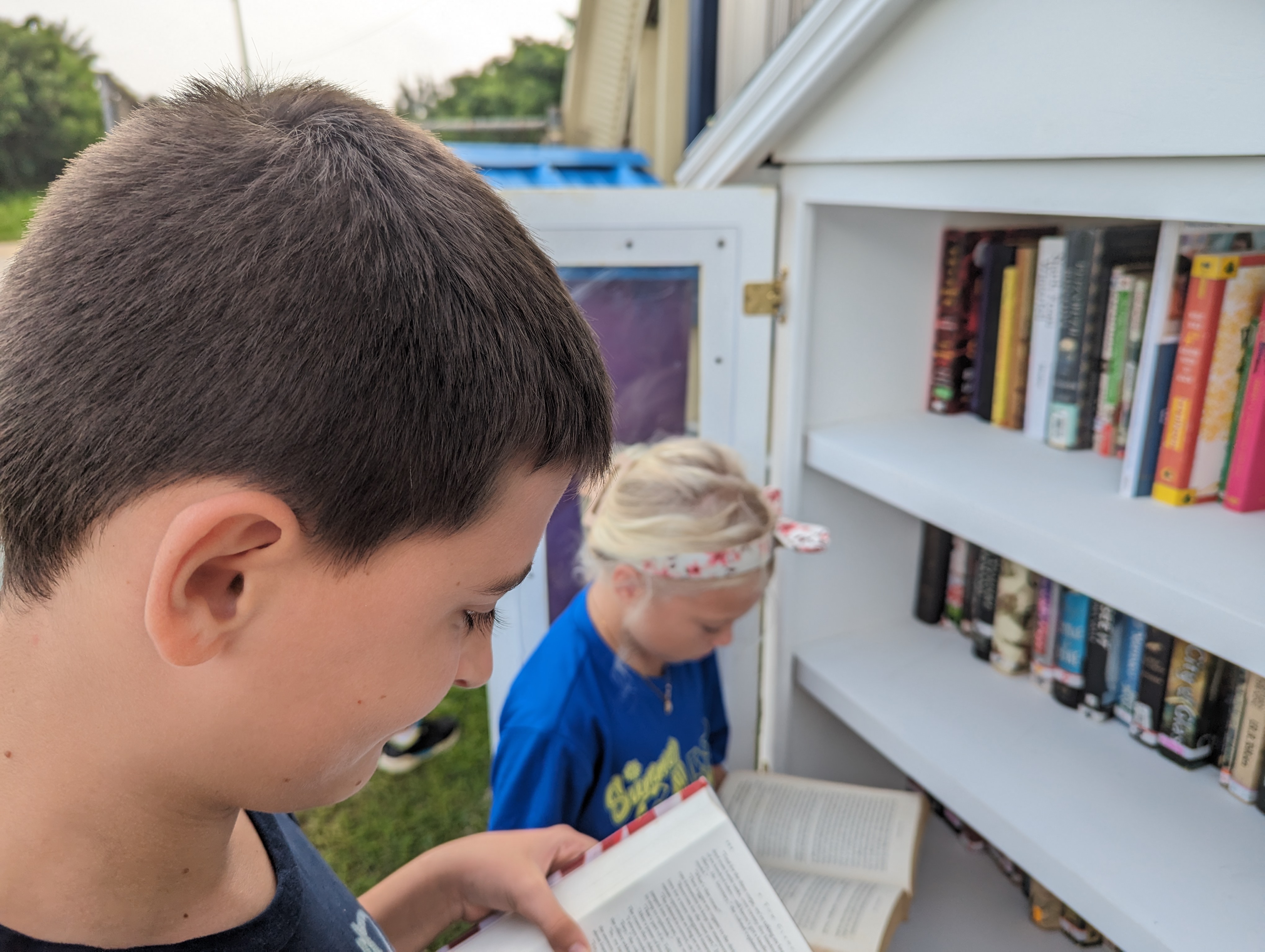 Investigating young adult books.