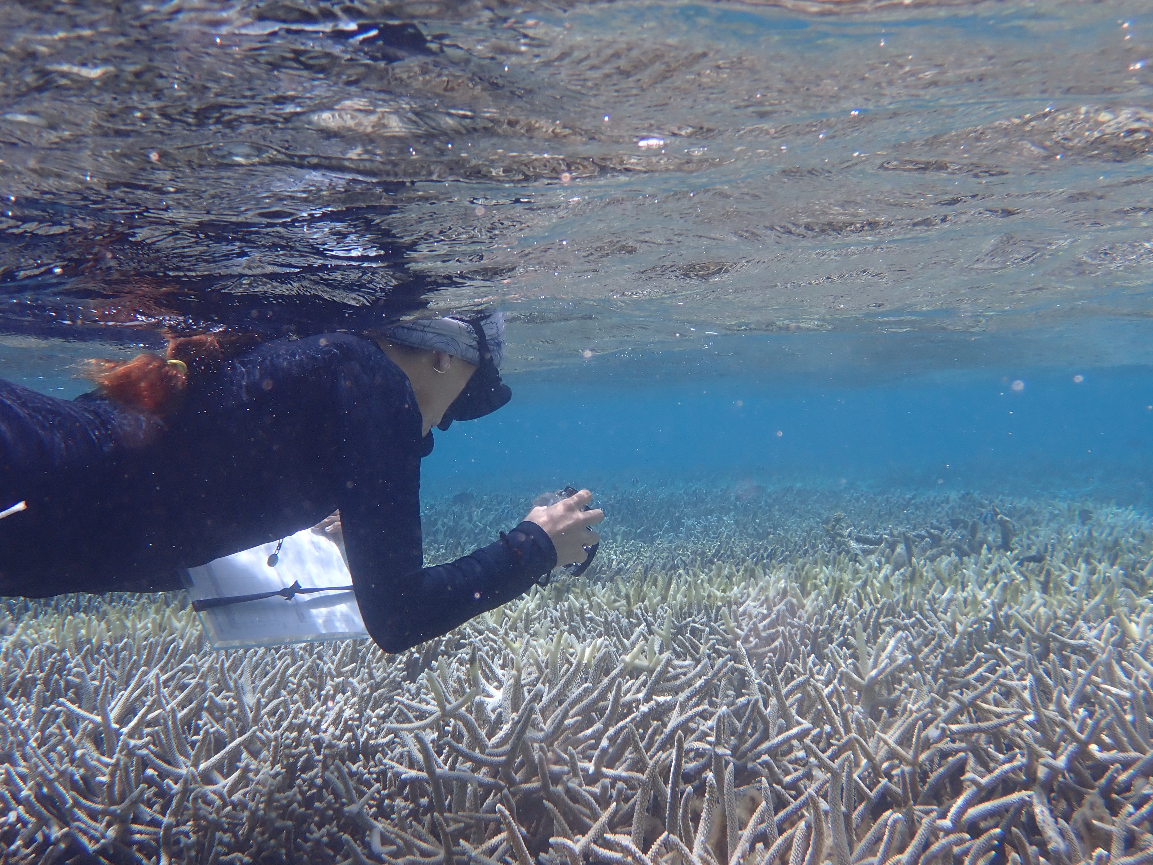 Elly Perez surveys the coral off San Antonio.
