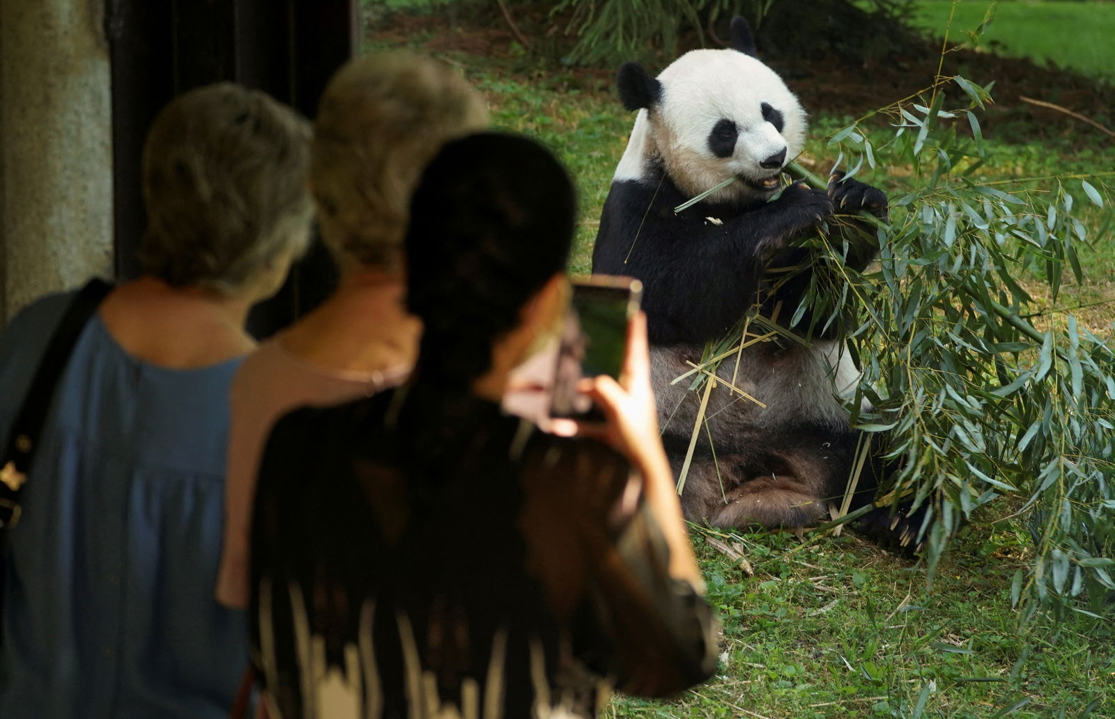 Visitors take photos of giant panda Mei Xiang eating bamboo during the reopening morning of Smithsonian's National Zoo in Washington, U.S., May 21, 2021. 