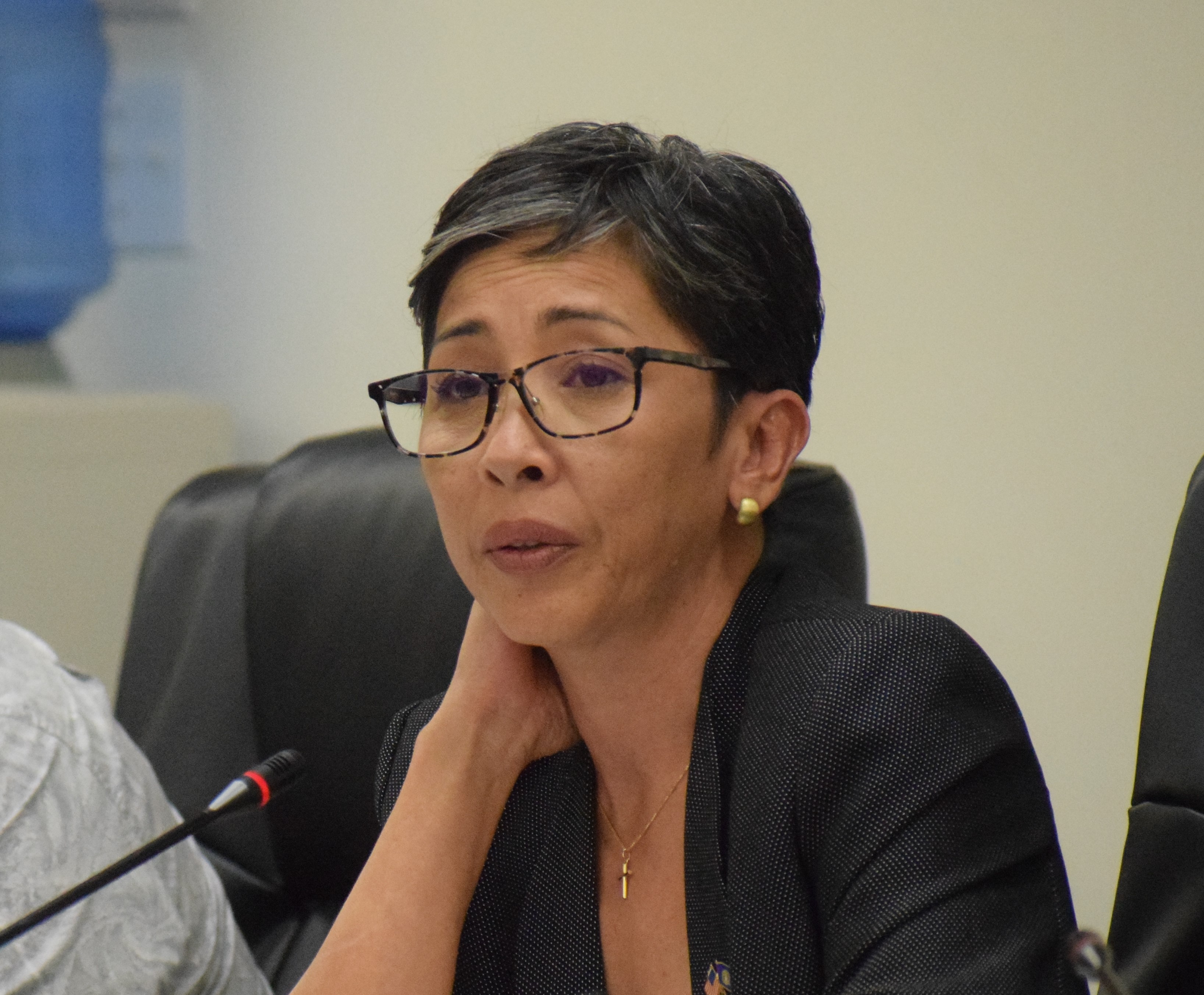 Rep. Marissa Flores speaks during a House session.