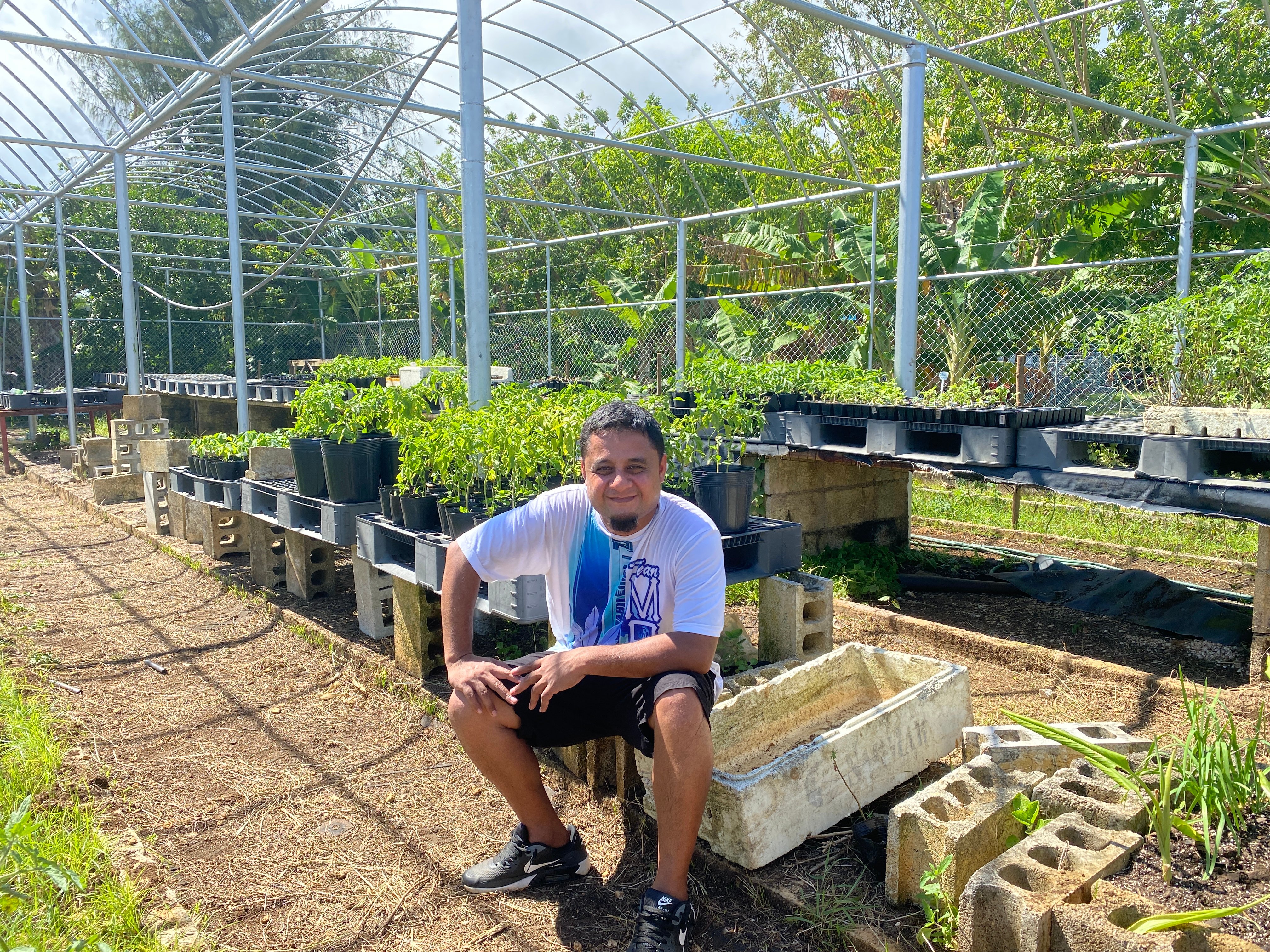 Charles Aisem sits in front of hot pepper plants at the Division of Agriculture facility in Kagman. 