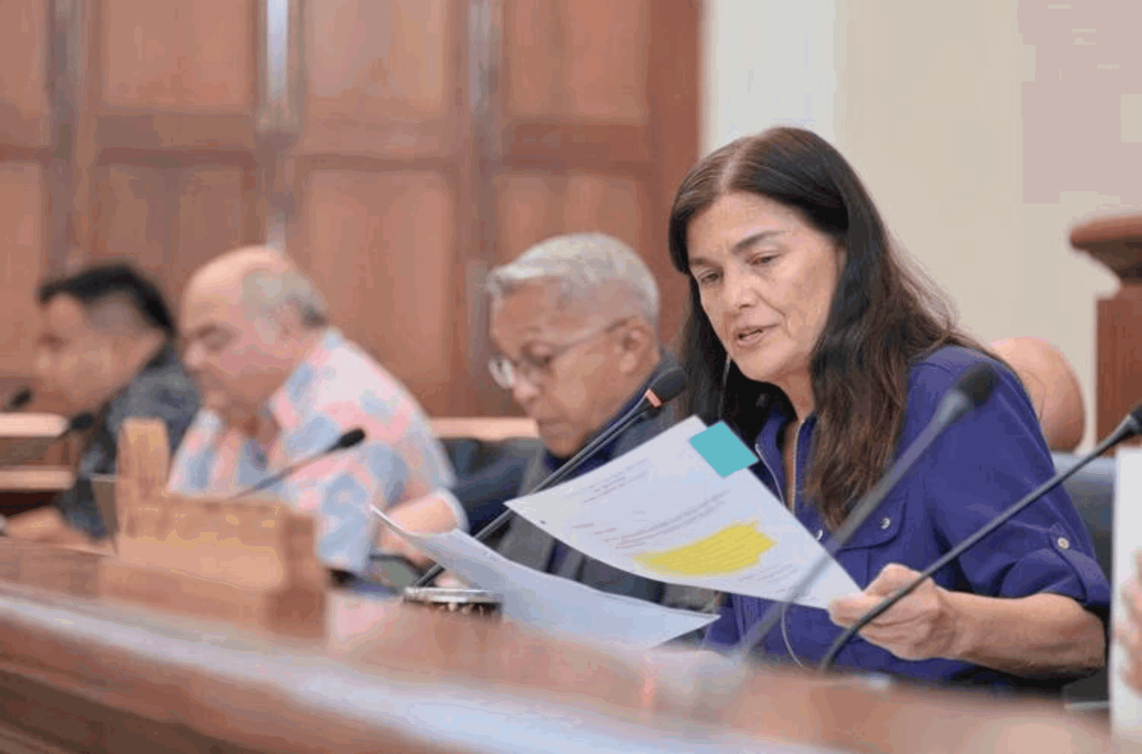 Speaker Therese Terlaje presides over an oversight hearing on the status of the Ypao Point cleanup and the land's use as potential new hospital site, at the Guam Congress Building in Hagåtña on Thursday, Oct. 19, 2023.