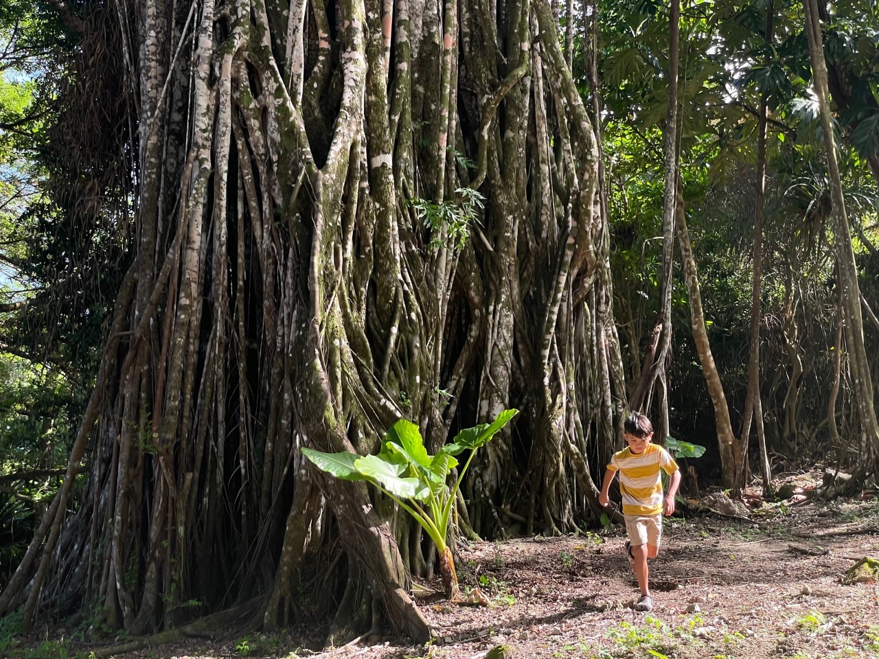 Isaiah Taimanao in the Luta episode of the Marianas Cousins webshow.