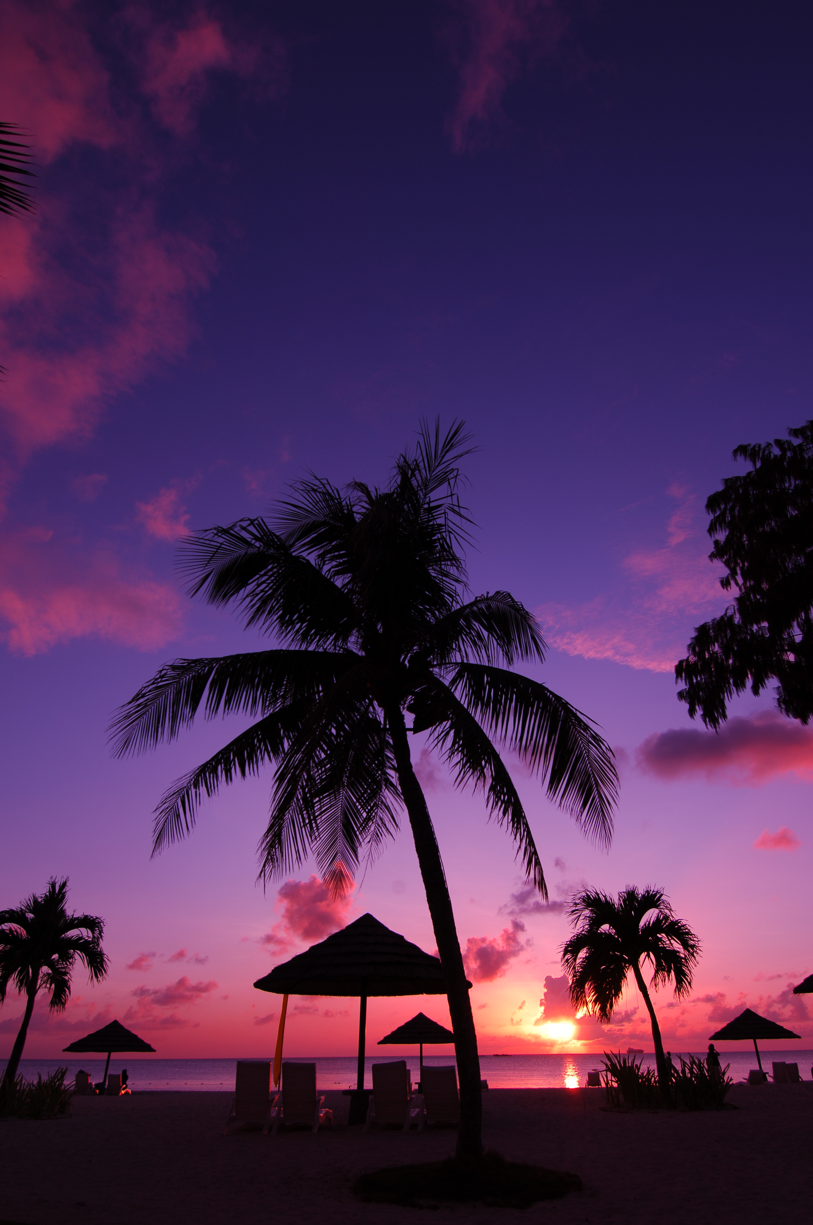 Come enjoy a spooky Halloween at Hyatt Regency Saipan, where you are more than a guest.
