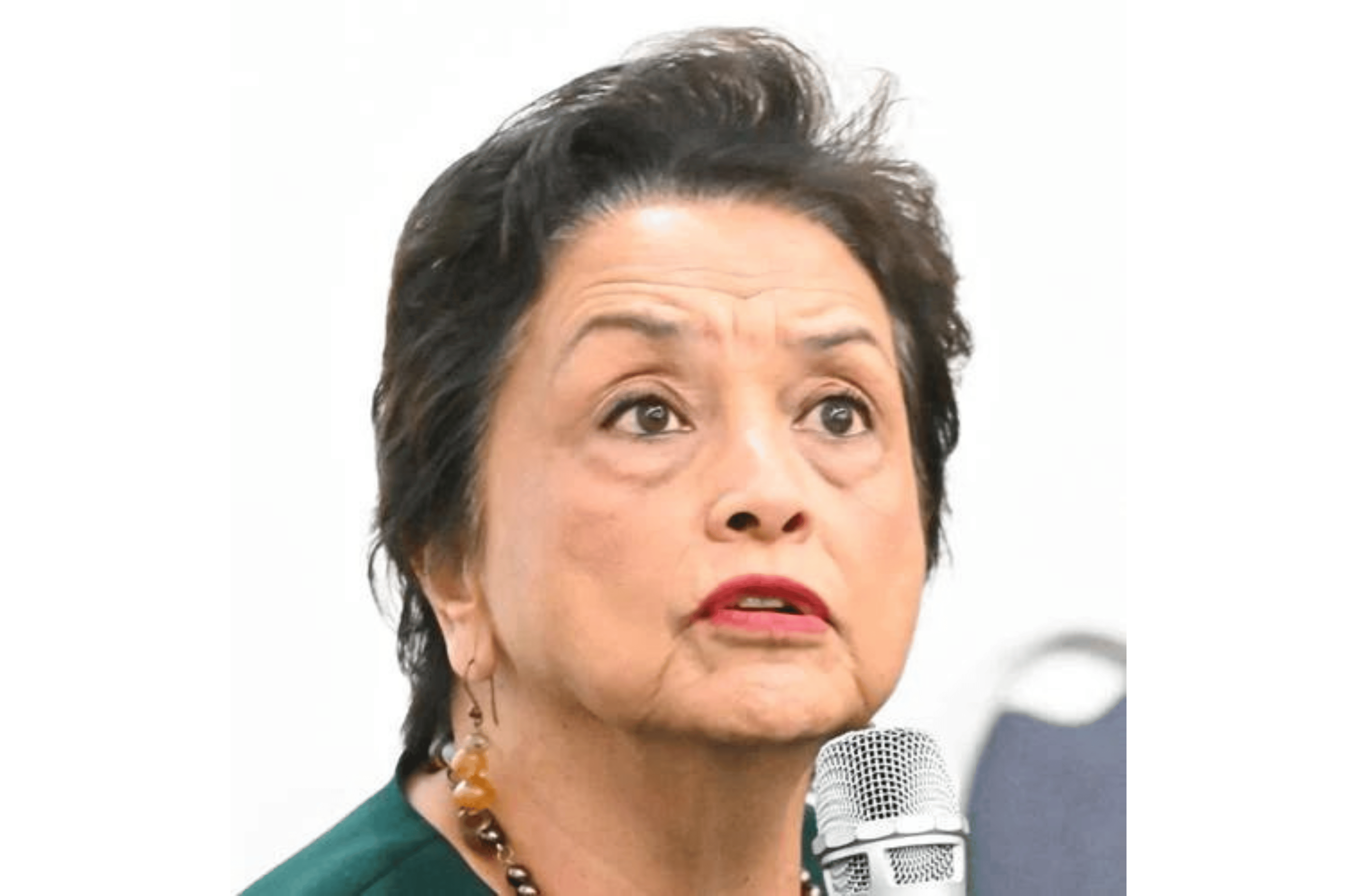 Lou Leon Guerrero  