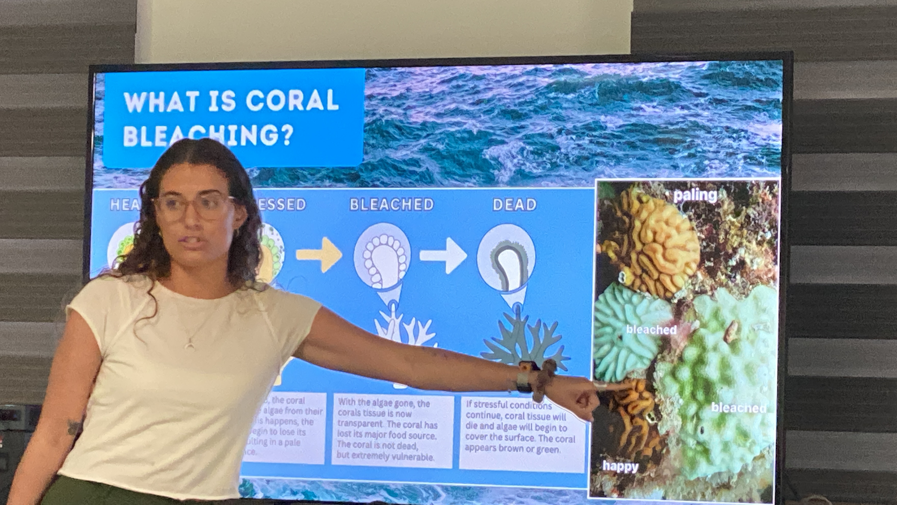Elly Perez of BECQ points at photos of healthy and bleached corals in the CNMI. 