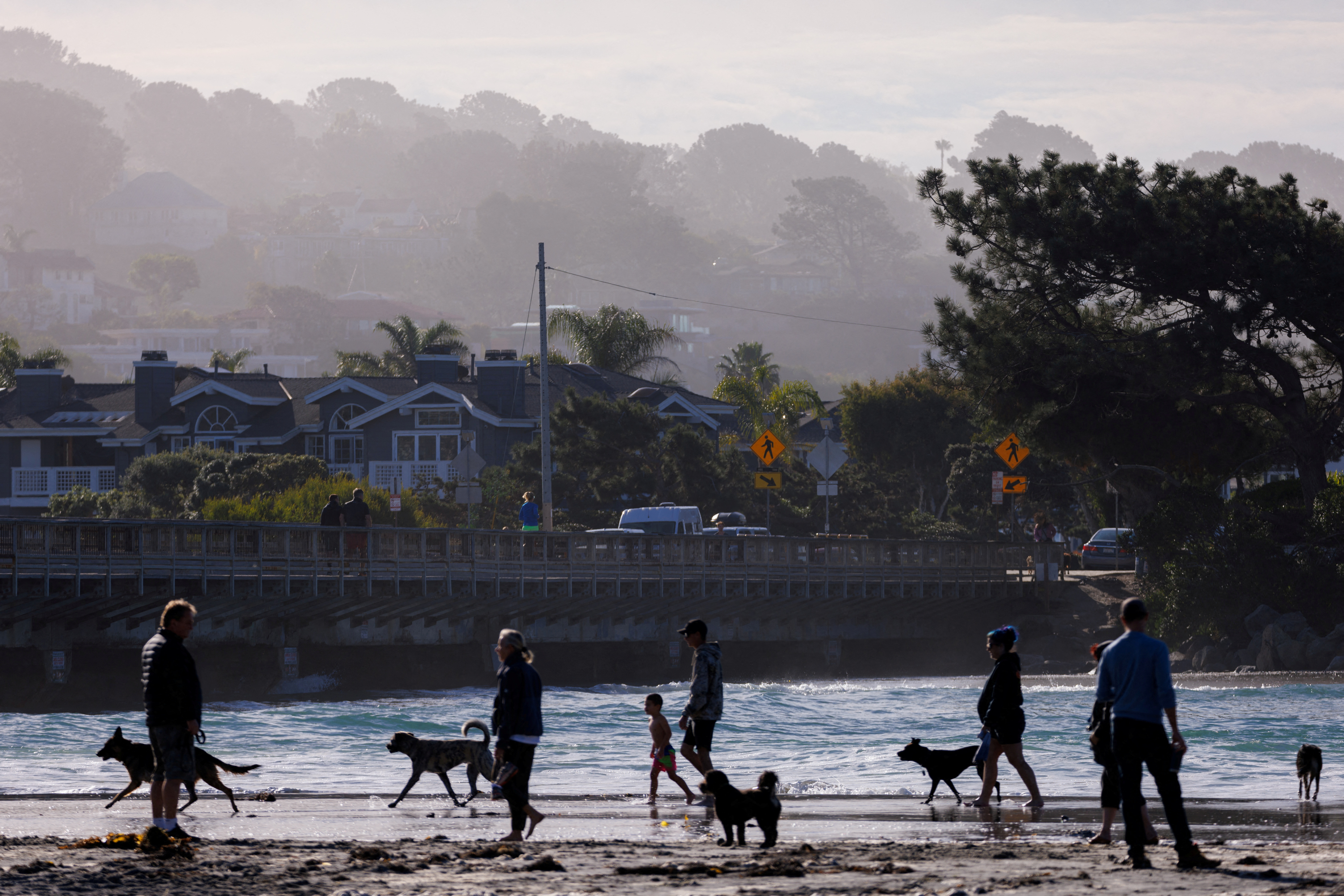 Dog owners bring their animals to the beach during the early morning in Del Mar, California, U.S., November 26, 2023. 