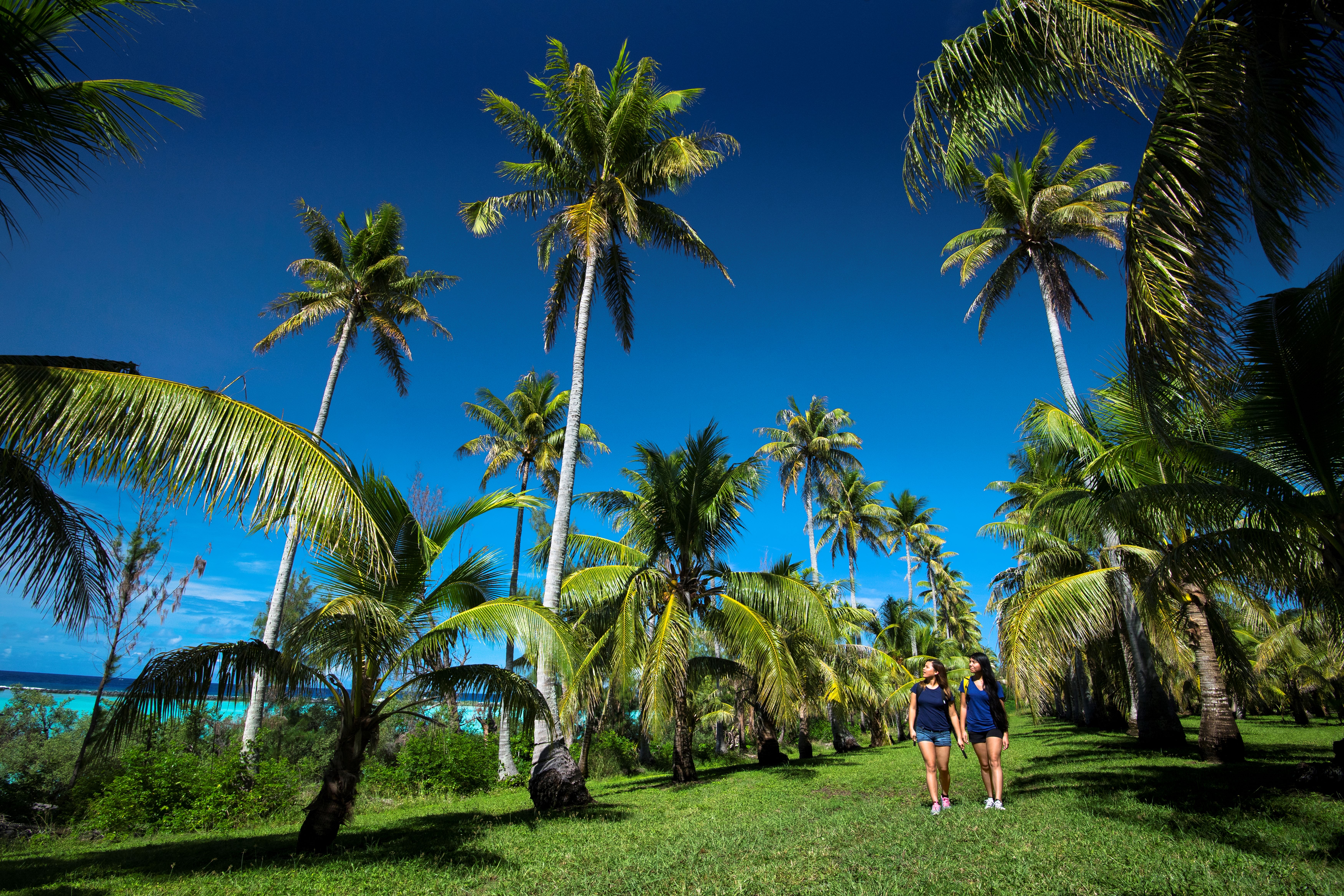 Senbon Yashi in Rota is one of many attractions highlighting the importance of “green spaces” for both residents and visitors. It is now under government quarantine protection due to the invasive rhino beetle.  Given today’s travel trend toward eco-tourism, the Marianas Tourism Education Council has set the theme “Green Spaces, Memorable Places” for its SY 2023-2024 educational outreach. 