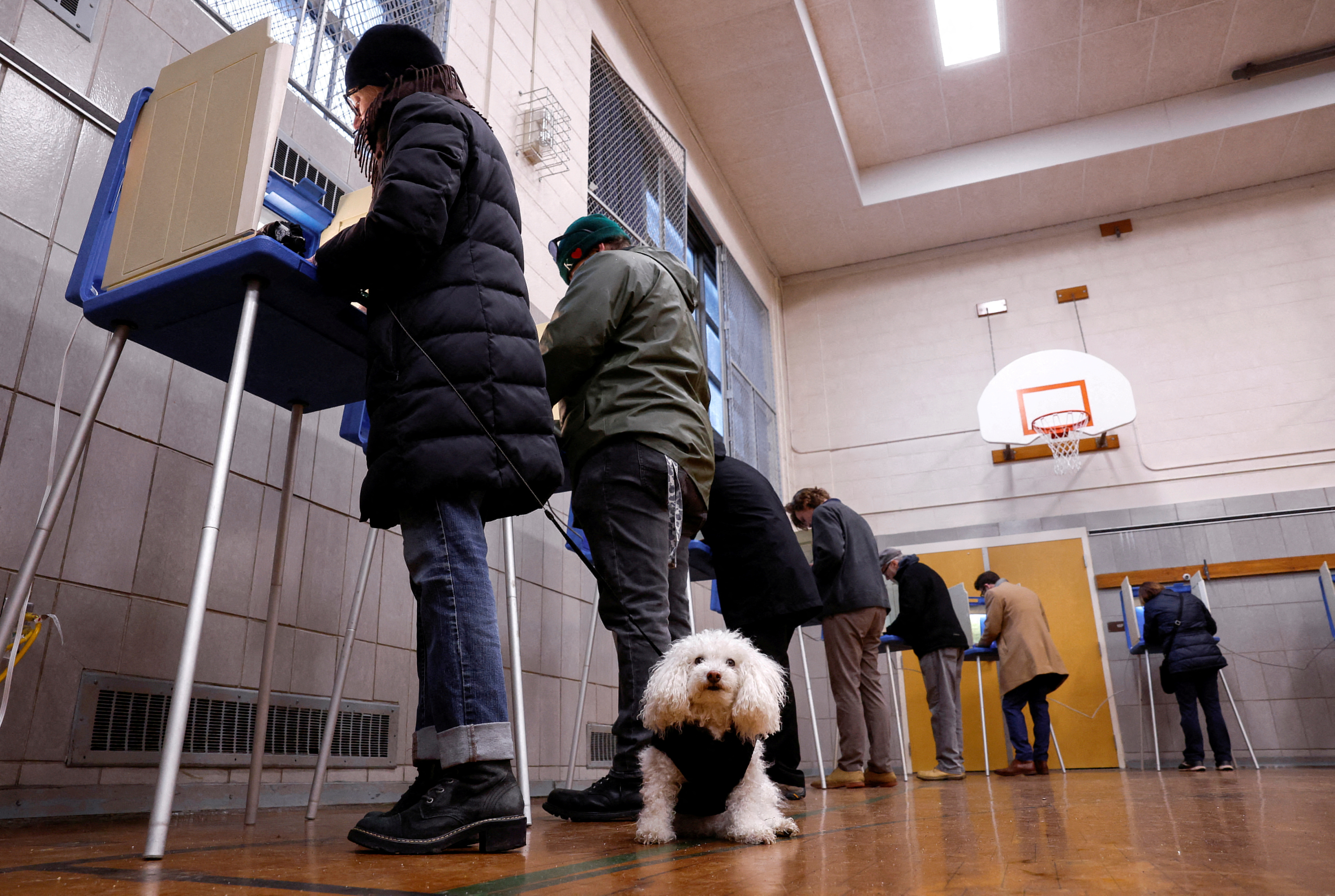 Max waits while his owner Barbara Wood votes at Maryland Avenue Montessori School during Wisconsin's Supreme Court election in Milwaukee, Wisconsin, U.S., April 4, 2023. 