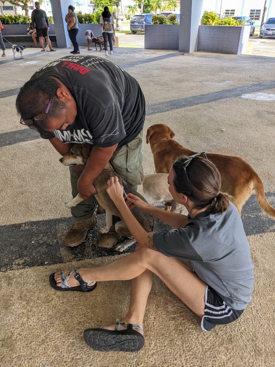 Saipan Humane Society Executive Director Lauren Cabrera, right, administers a shot to a puppy at the animal clinic on Rota on Saturday, Dec. 9, 2023.