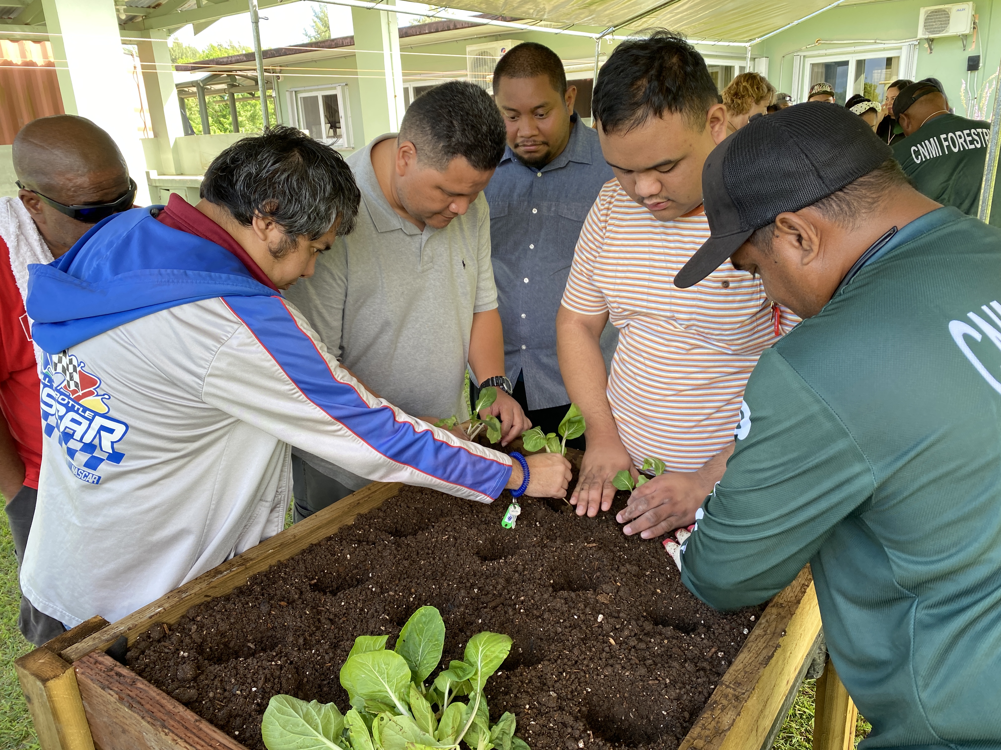 CLI consumers plant pechay in one of the raised garden beds. 