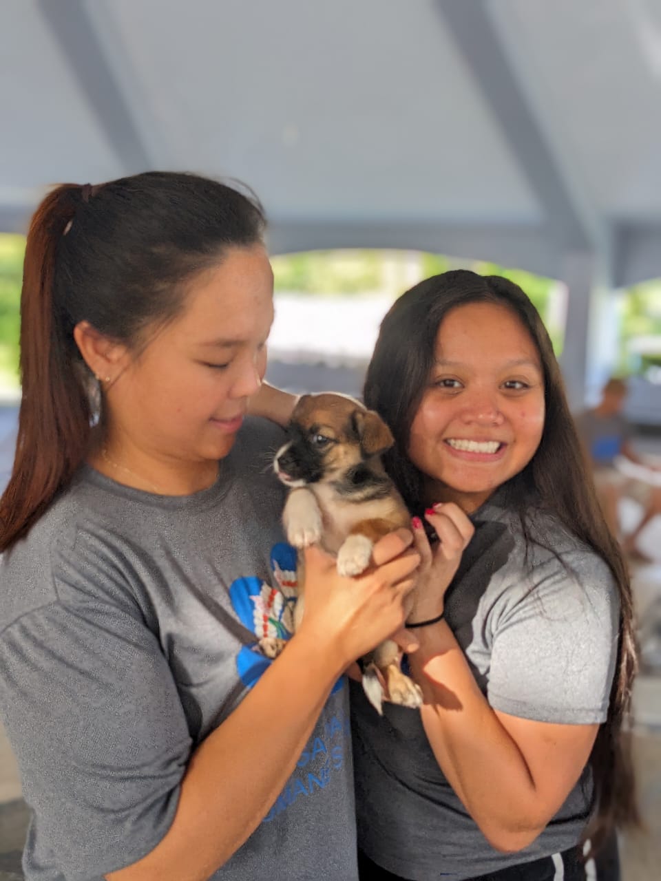 Most of the animals treated at the Saipan Humane Society’s animal clinic on Rota were dogs.