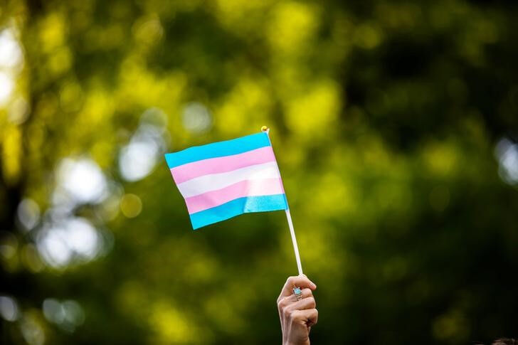 Transgender rights activist waves a transgender flag. 